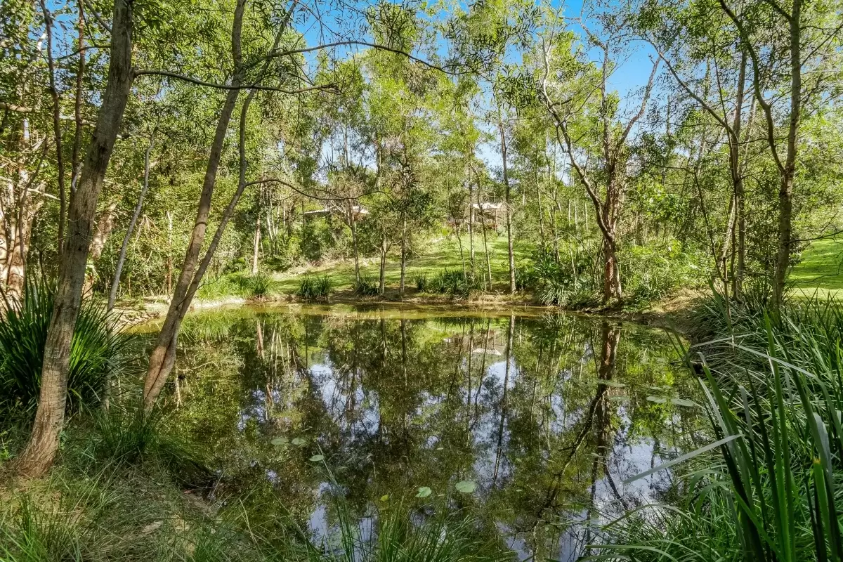 36-38 Benloro Lane, Myocum Sold by Byron Bay Sotheby's International Realty - image 1
