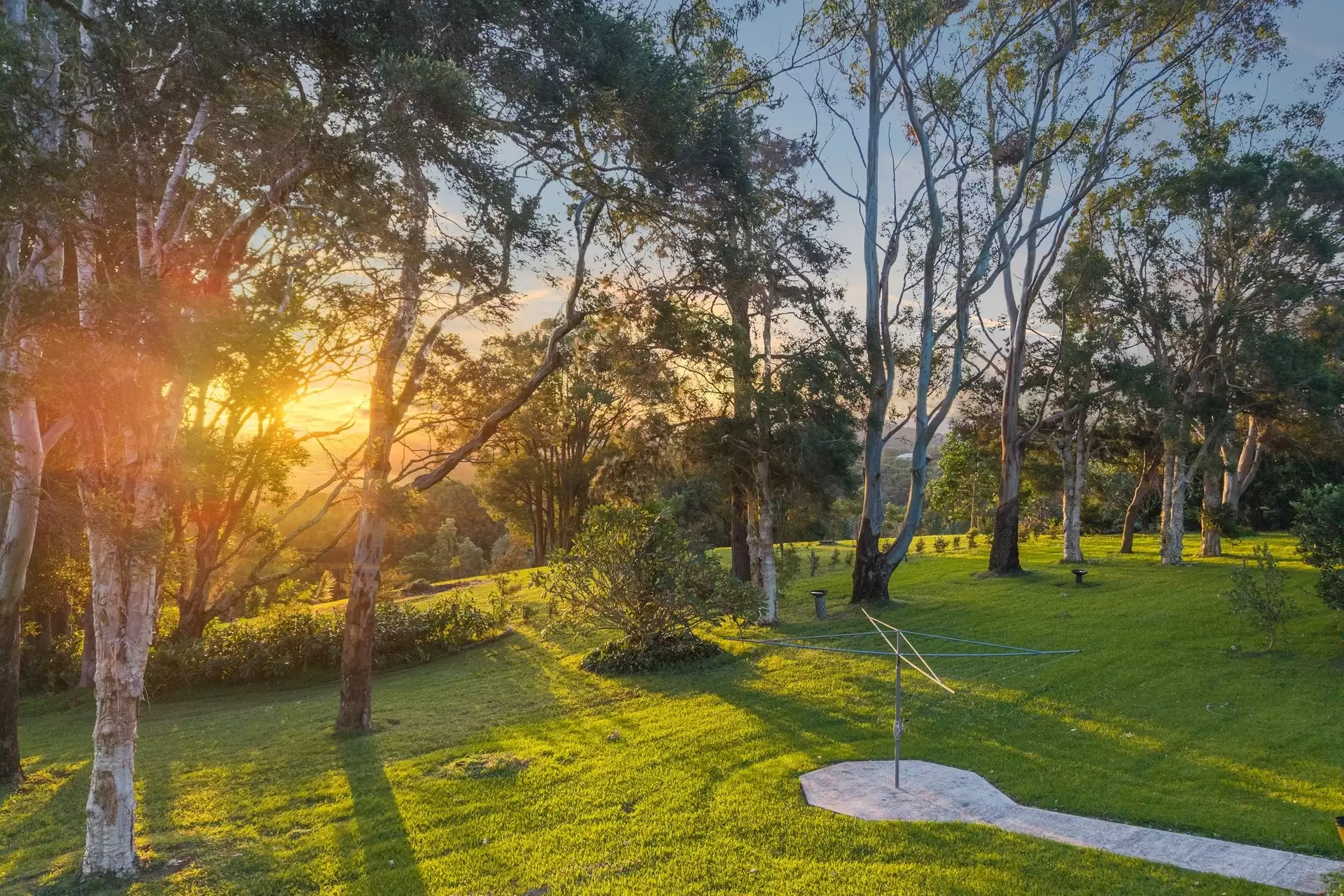 54 Friday Hut Road, Coorabell Sold by Byron Bay Sotheby's International Realty - image 1