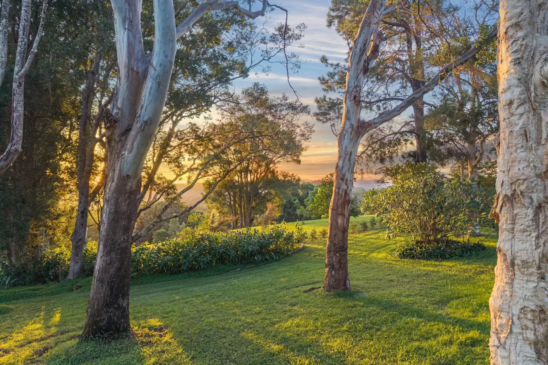 54 Friday Hut Road, Coorabell Sold by Byron Bay Sotheby's International Realty - image 1