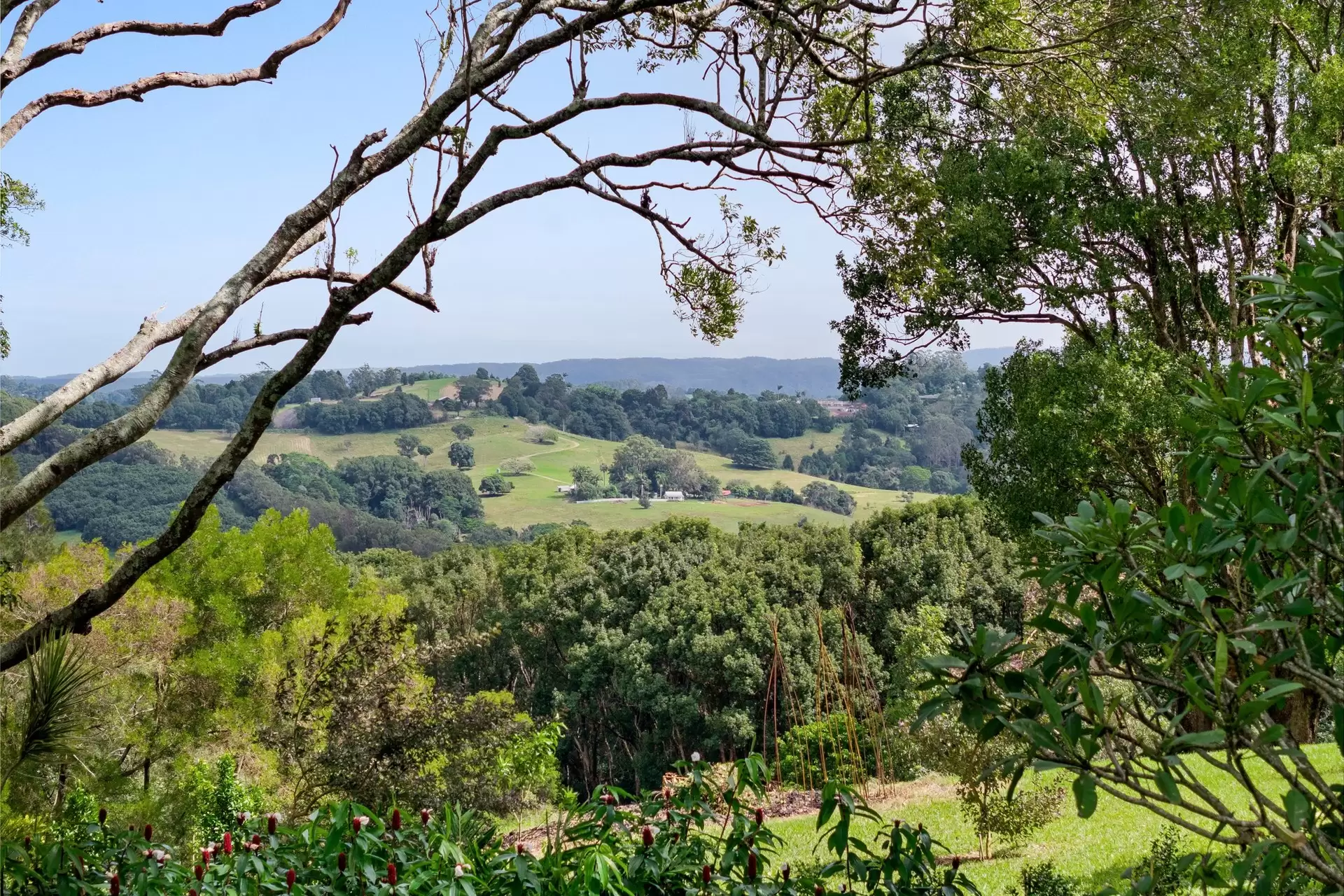 54 Friday Hut Road, Coorabell Sold by Byron Bay Sotheby's International Realty - image 1