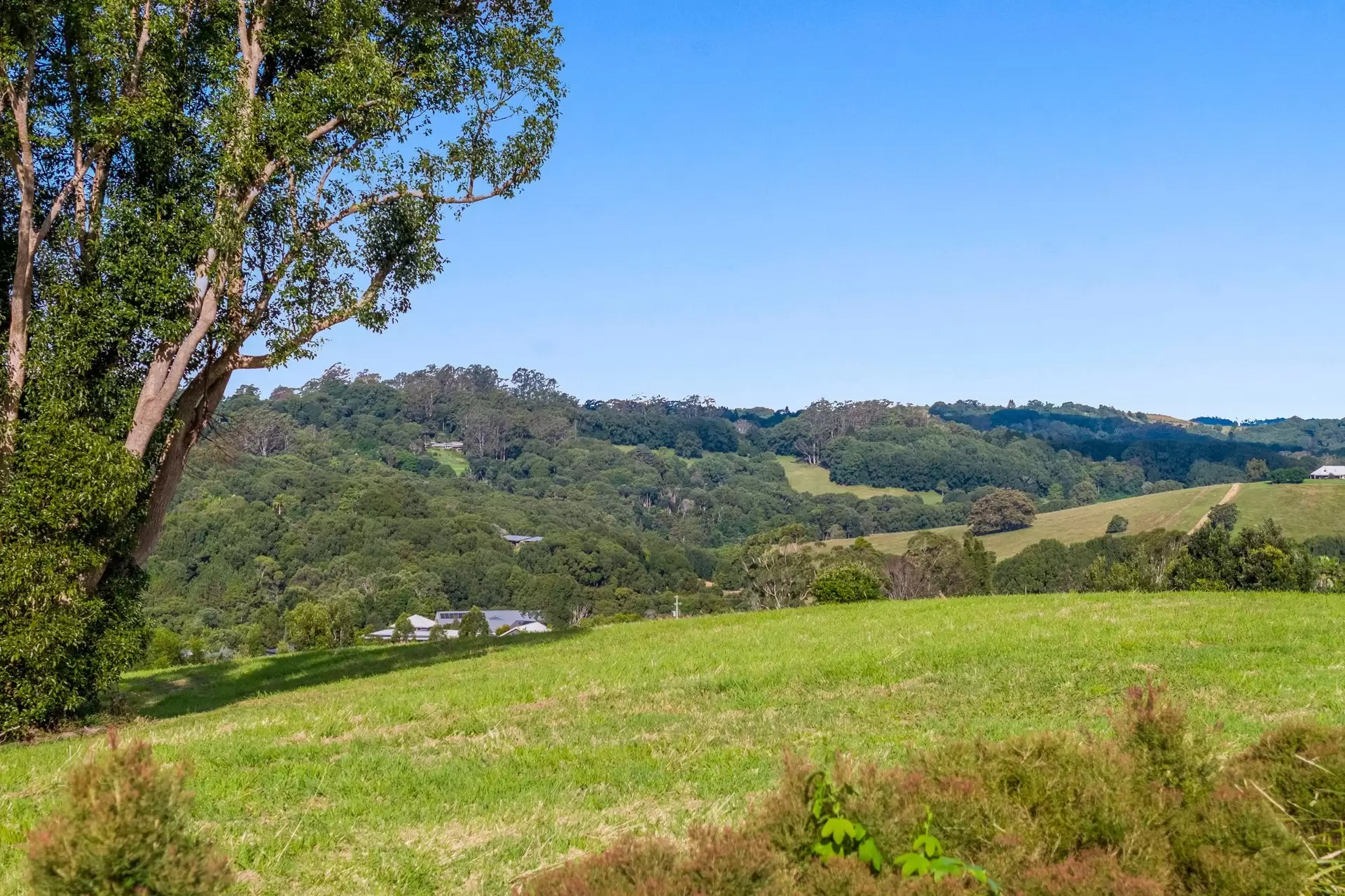 22 Loch Lane, Coorabell For Sale by Byron Bay Sotheby's International Realty - image 1