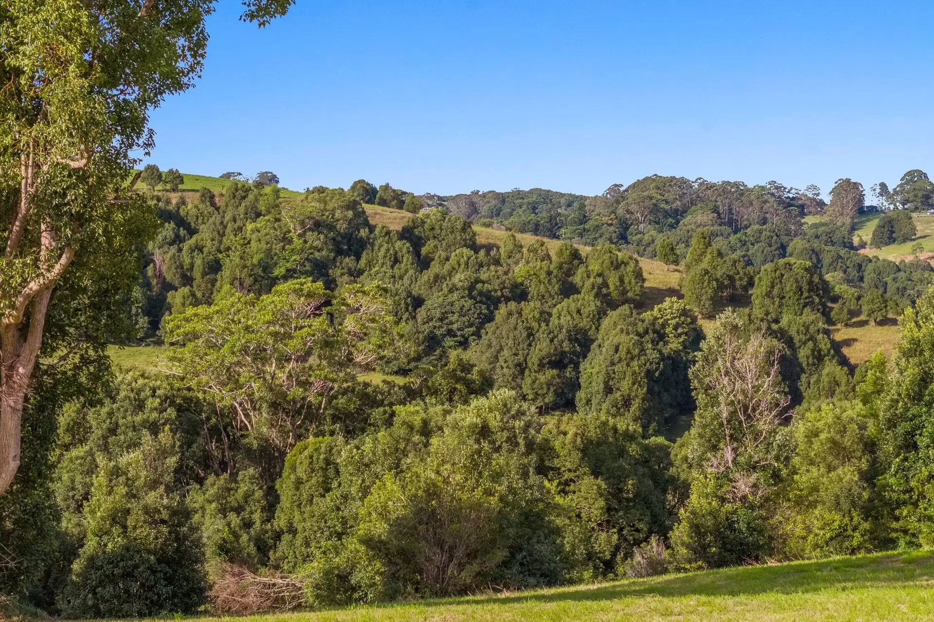 22 Loch Lane, Coorabell For Sale by Byron Bay Sotheby's International Realty - image 1