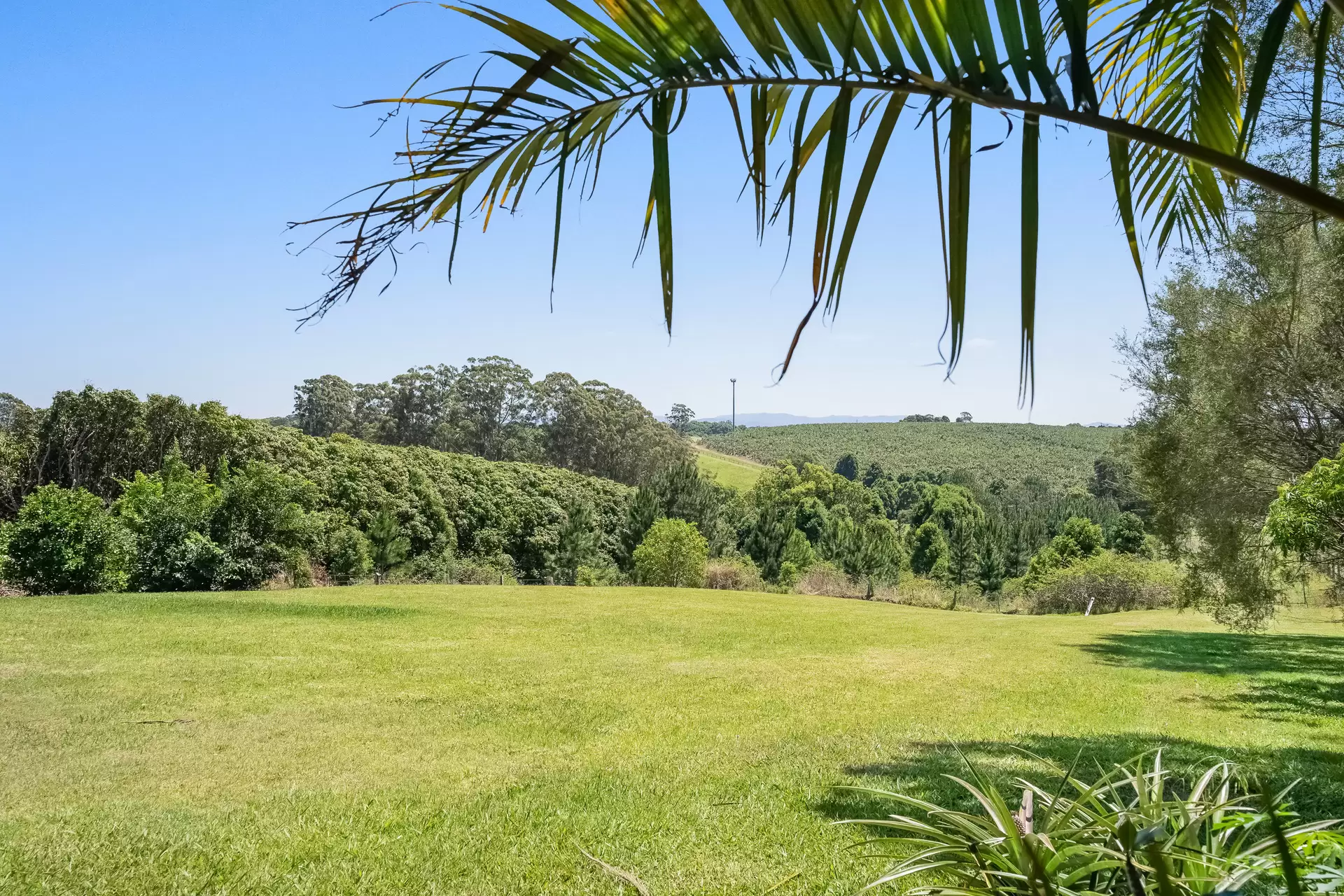 109 Broken Head Road, Newrybar Sold by Byron Bay Sotheby's International Realty - image 1