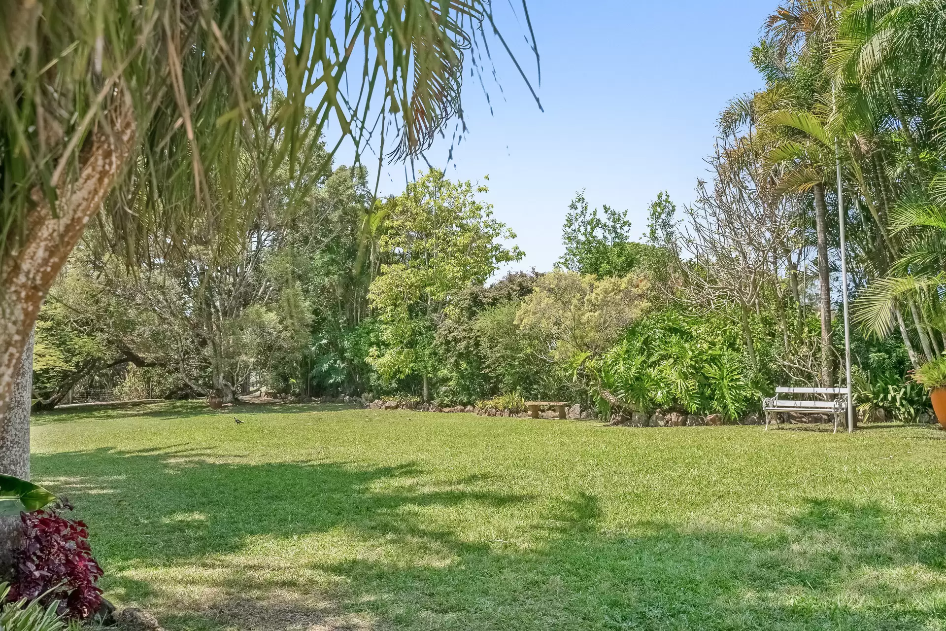 109 Broken Head Road, Newrybar Sold by Byron Bay Sotheby's International Realty - image 1