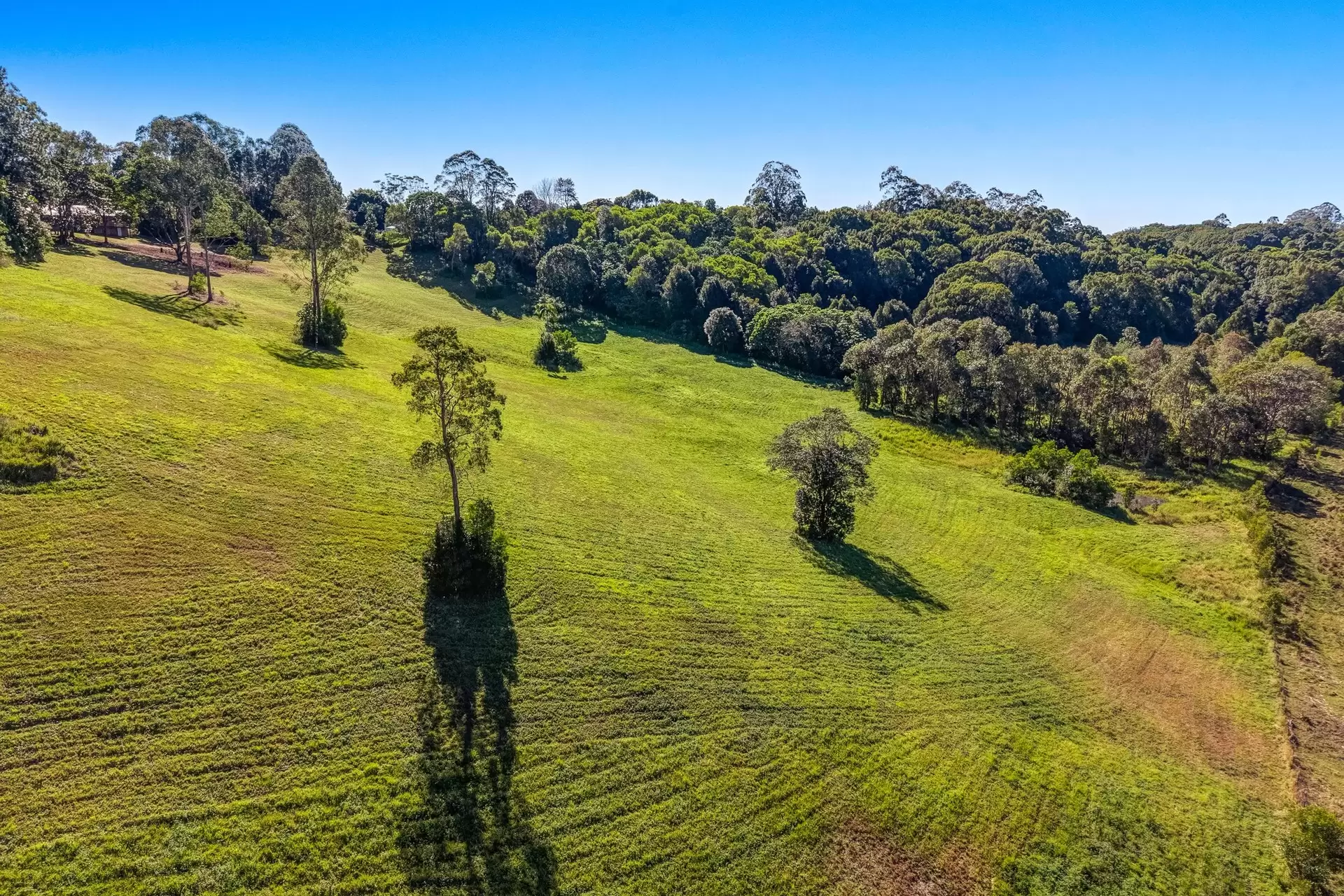 278 The Manse Road, Myocum Sold by Byron Bay Sotheby's International Realty - image 1