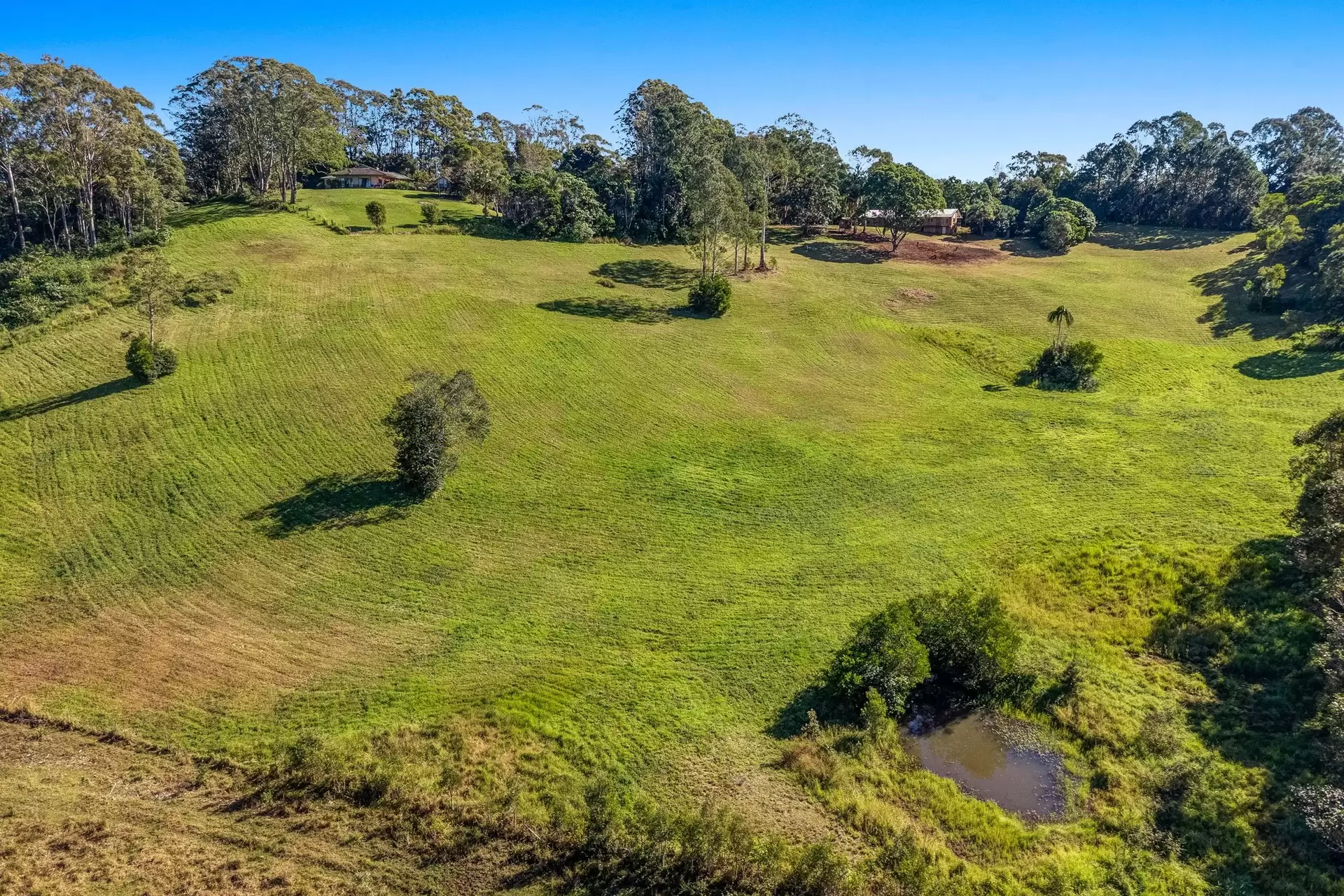 278 The Manse Road, Myocum Sold by Byron Bay Sotheby's International Realty - image 1