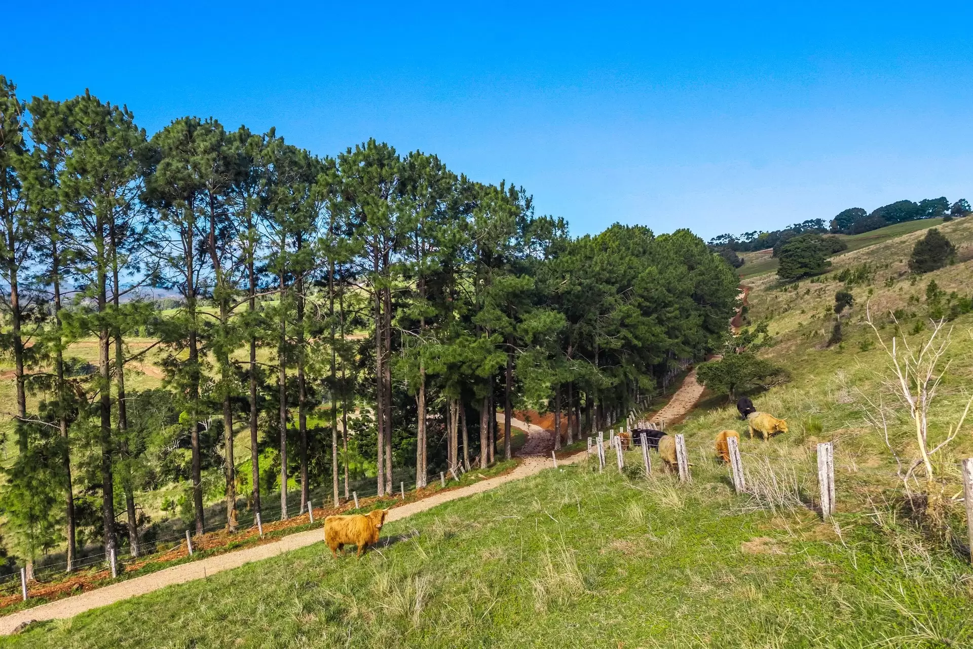 28 Coolamon Scenic Drive, Coorabell For Sale by Byron Bay Sotheby's International Realty - image 1
