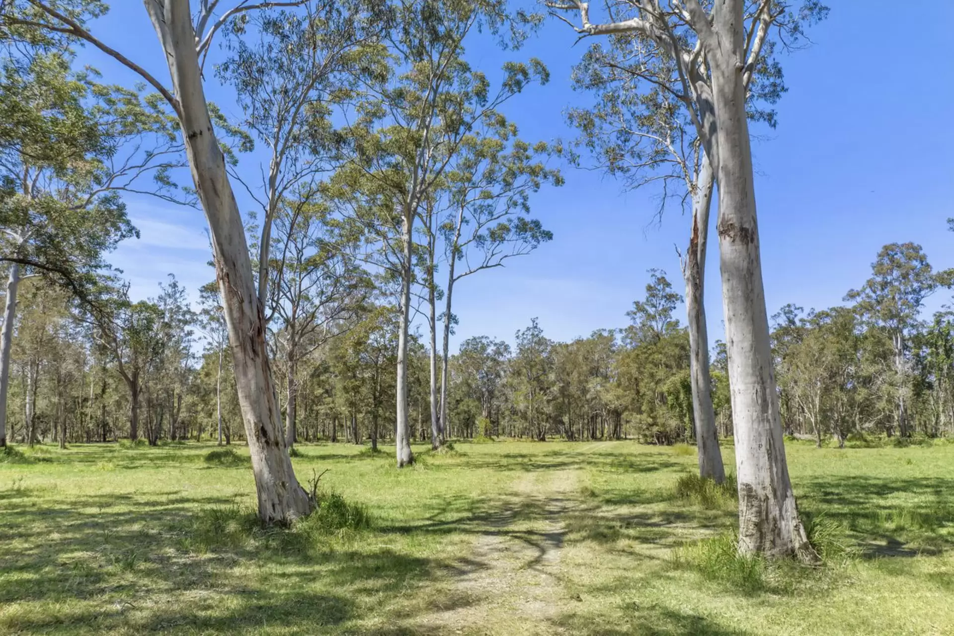 73 Bashforths Lane, Brunswick Heads For Sale by Byron Bay Sotheby's International Realty - image 1
