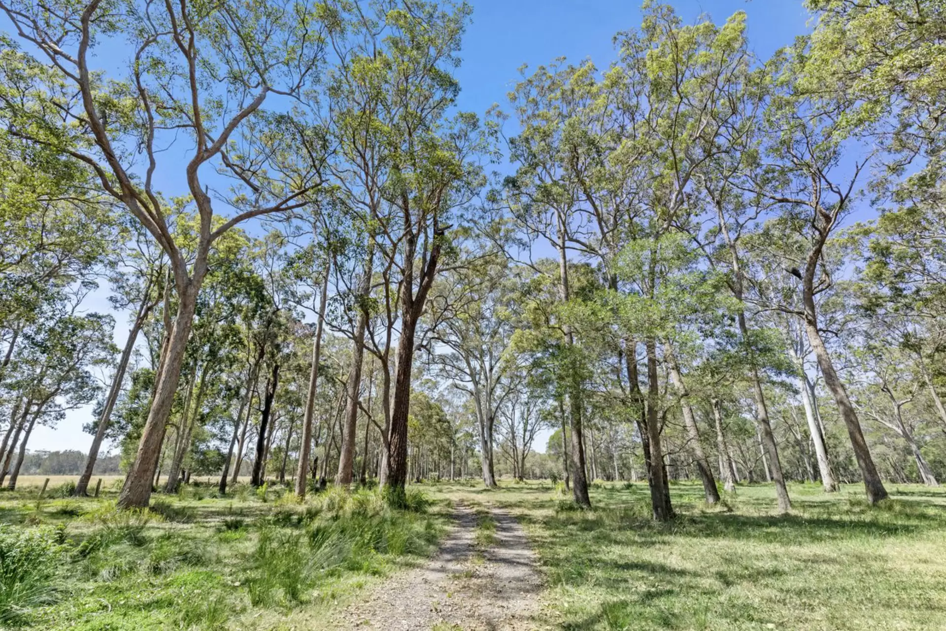 73 Bashforths Lane, Brunswick Heads For Sale by Byron Bay Sotheby's International Realty - image 1