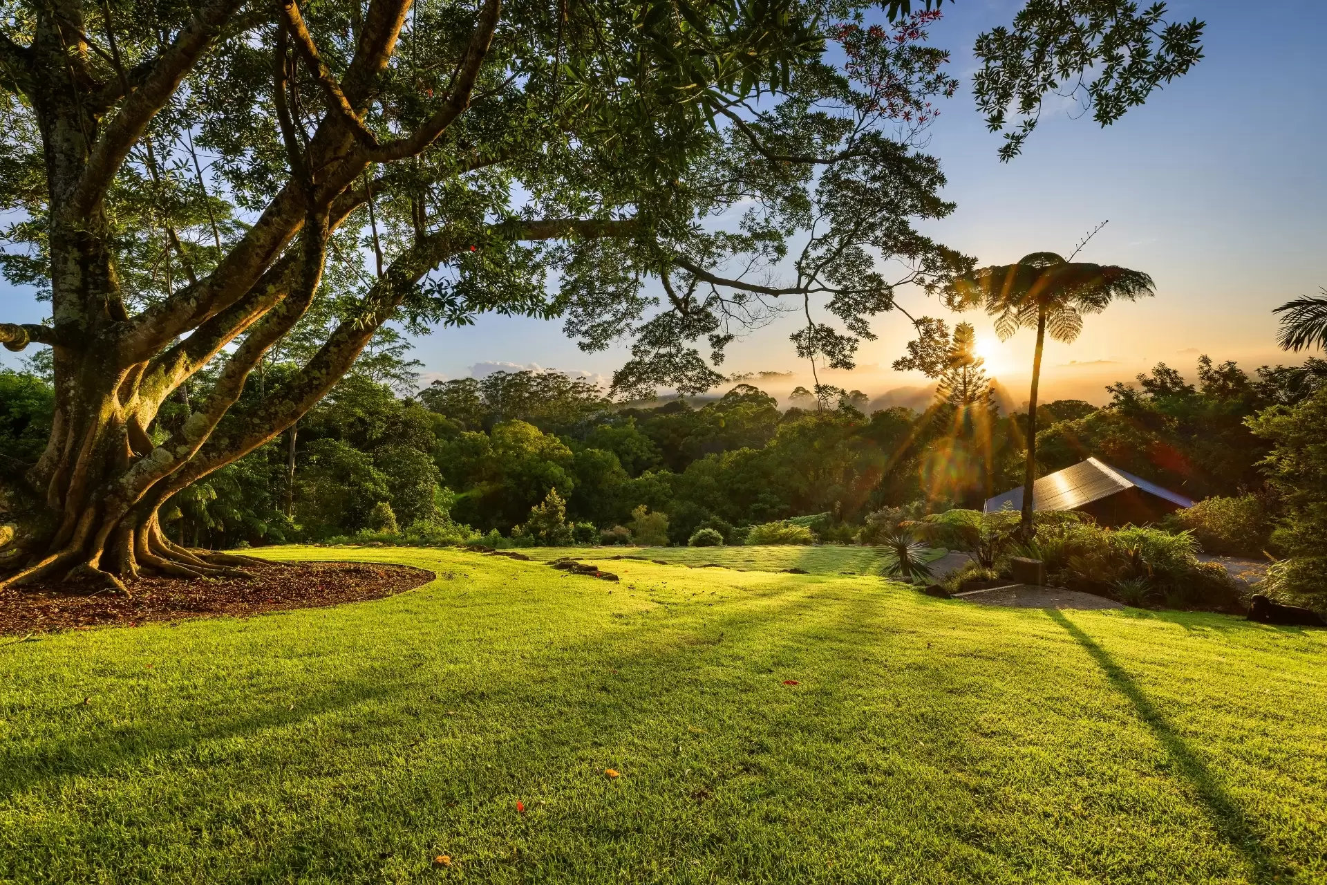 17 Charlotte Street, Bangalow Sold by Byron Bay Sotheby's International Realty - image 1