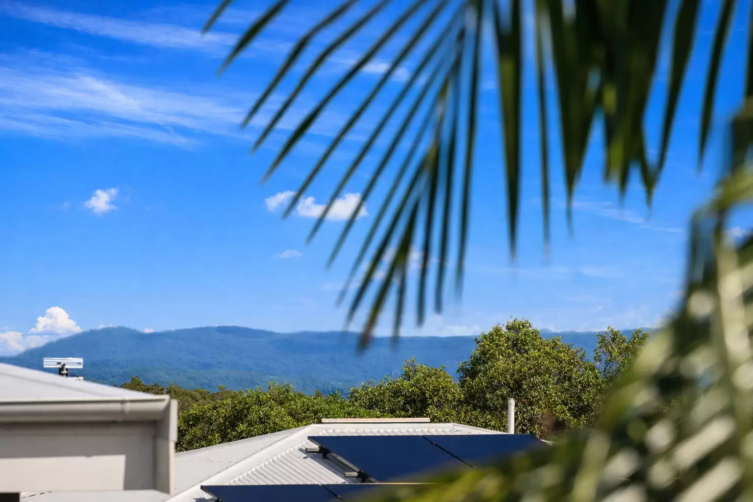 2/16 Oodgeroo Gardens, Byron Bay Sold by Byron Bay Sotheby's International Realty - image 1