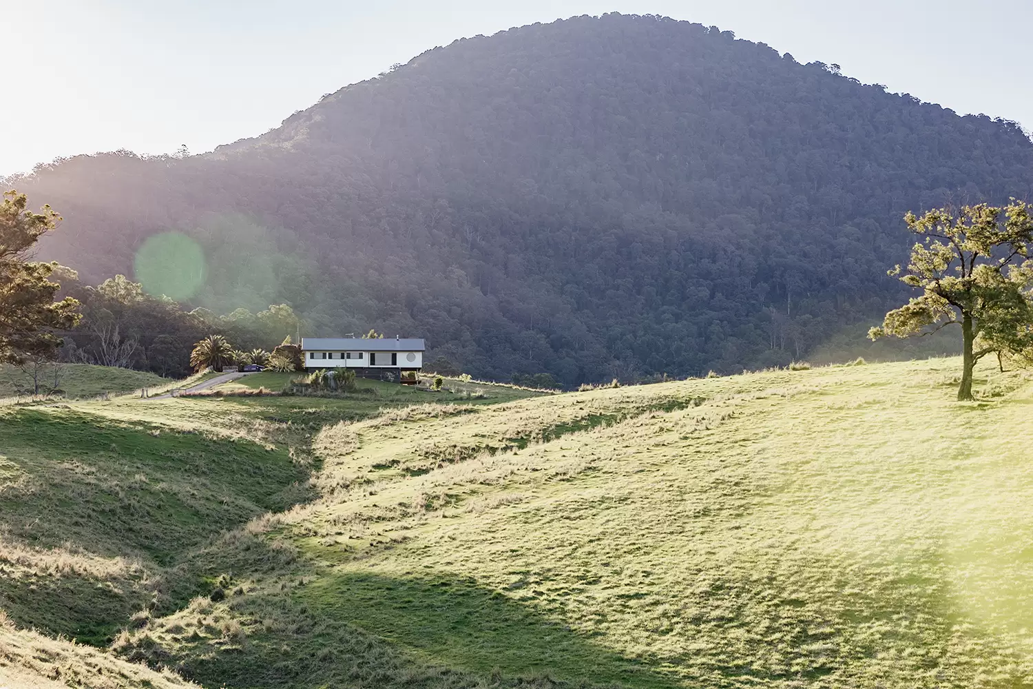 714 Limpinwood Road, Limpinwood Sold by Byron Bay Sotheby's International Realty - image 1