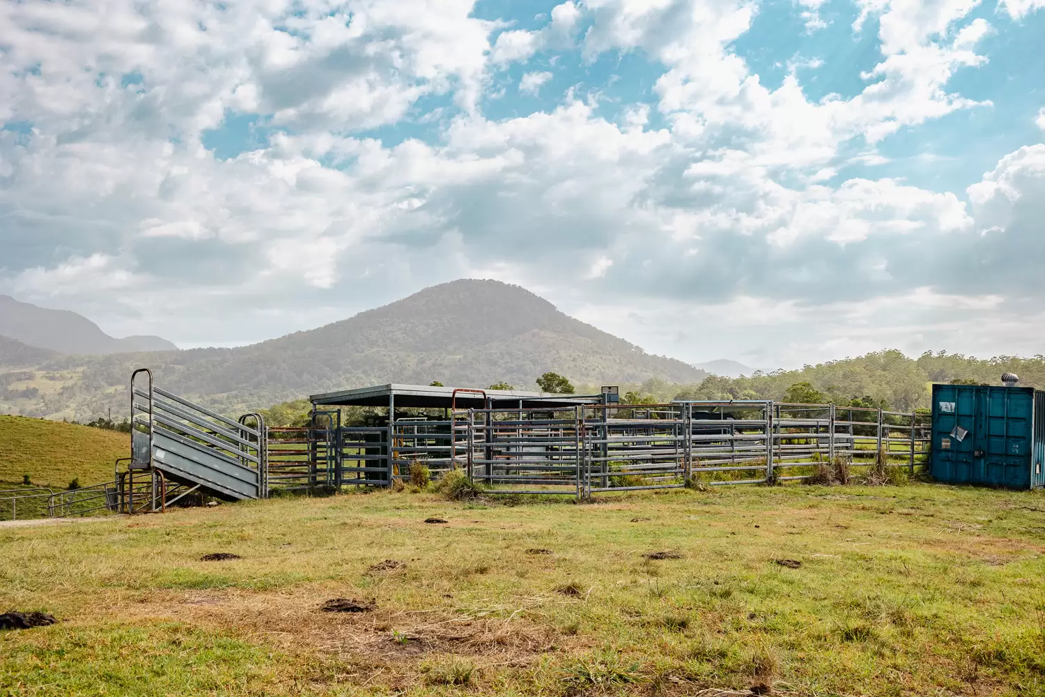 714 Limpinwood Road, Limpinwood Sold by Byron Bay Sotheby's International Realty - image 1