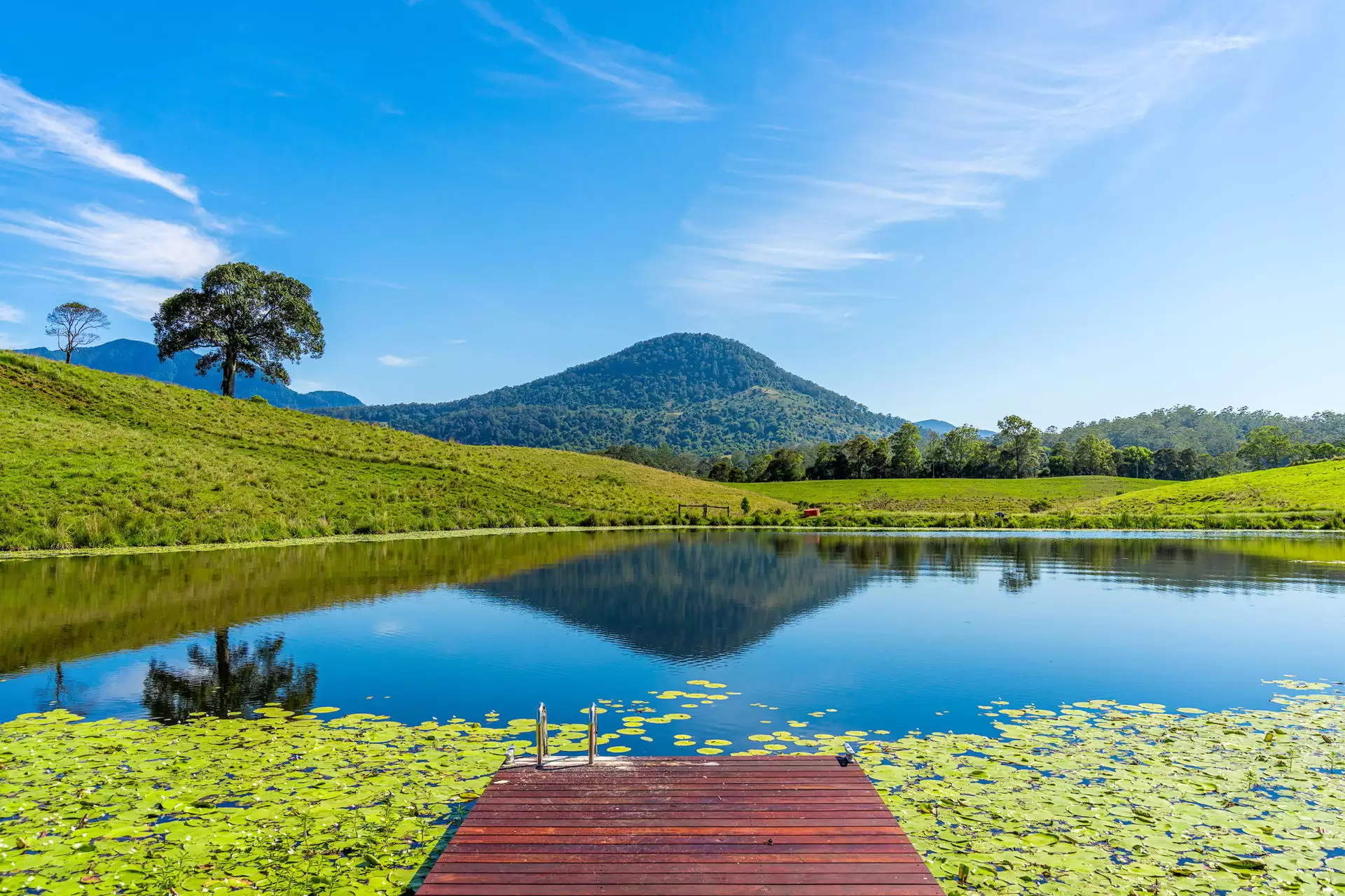 714 Limpinwood Road, Limpinwood Sold by Byron Bay Sotheby's International Realty - image 1