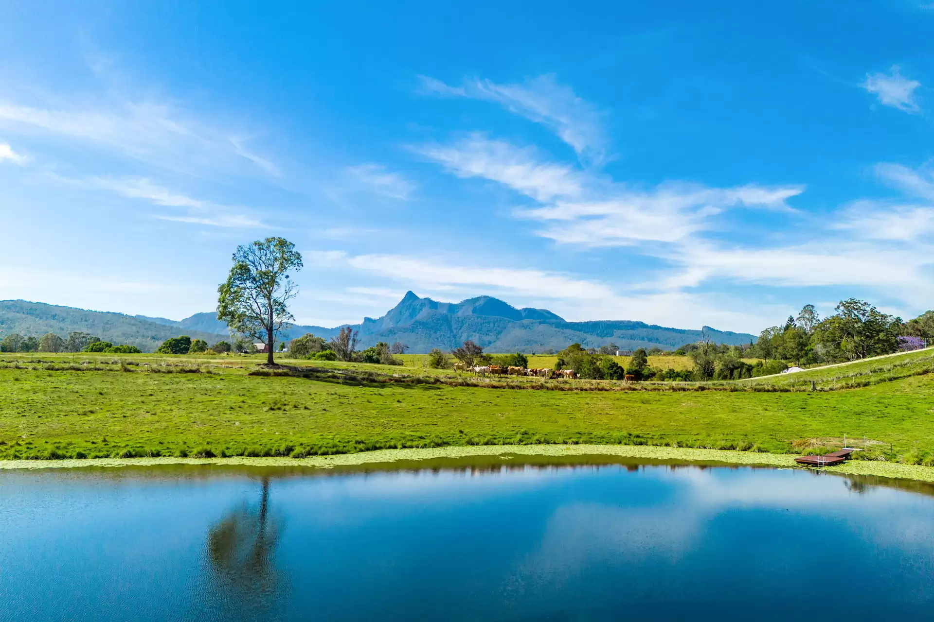 714 Limpinwood Road, Limpinwood Sold by Byron Bay Sotheby's International Realty - image 1