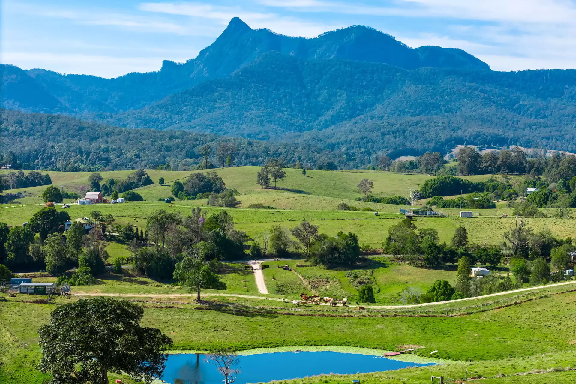 714 Limpinwood Road, Limpinwood Sold by Byron Bay Sotheby's International Realty - image 1
