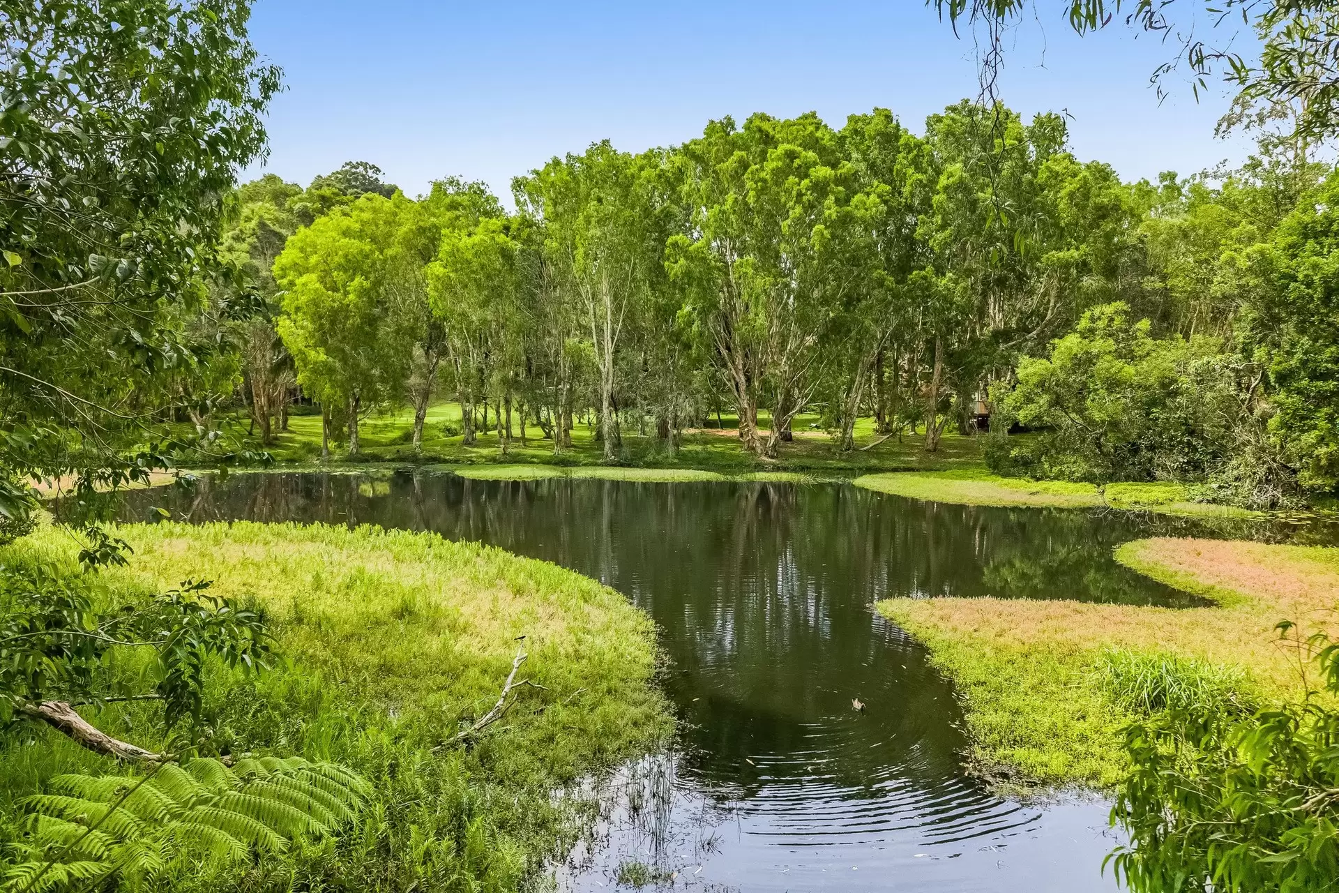 60 Brushbox Drive, Mullumbimby Sold by Byron Bay Sotheby's International Realty - image 1
