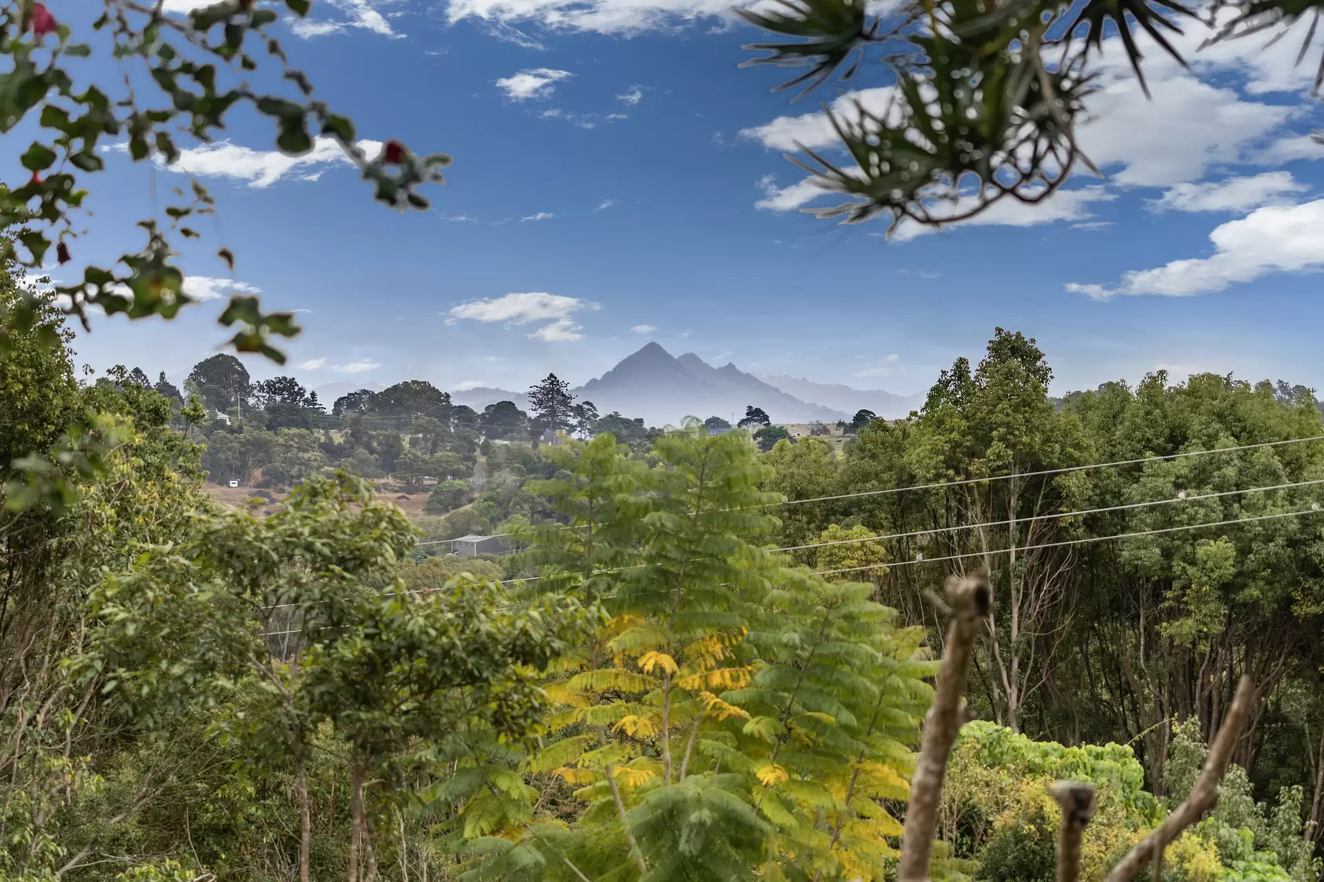 70 Tandys Lane, Brunswick Heads Sold by Byron Bay Sotheby's International Realty - image 1