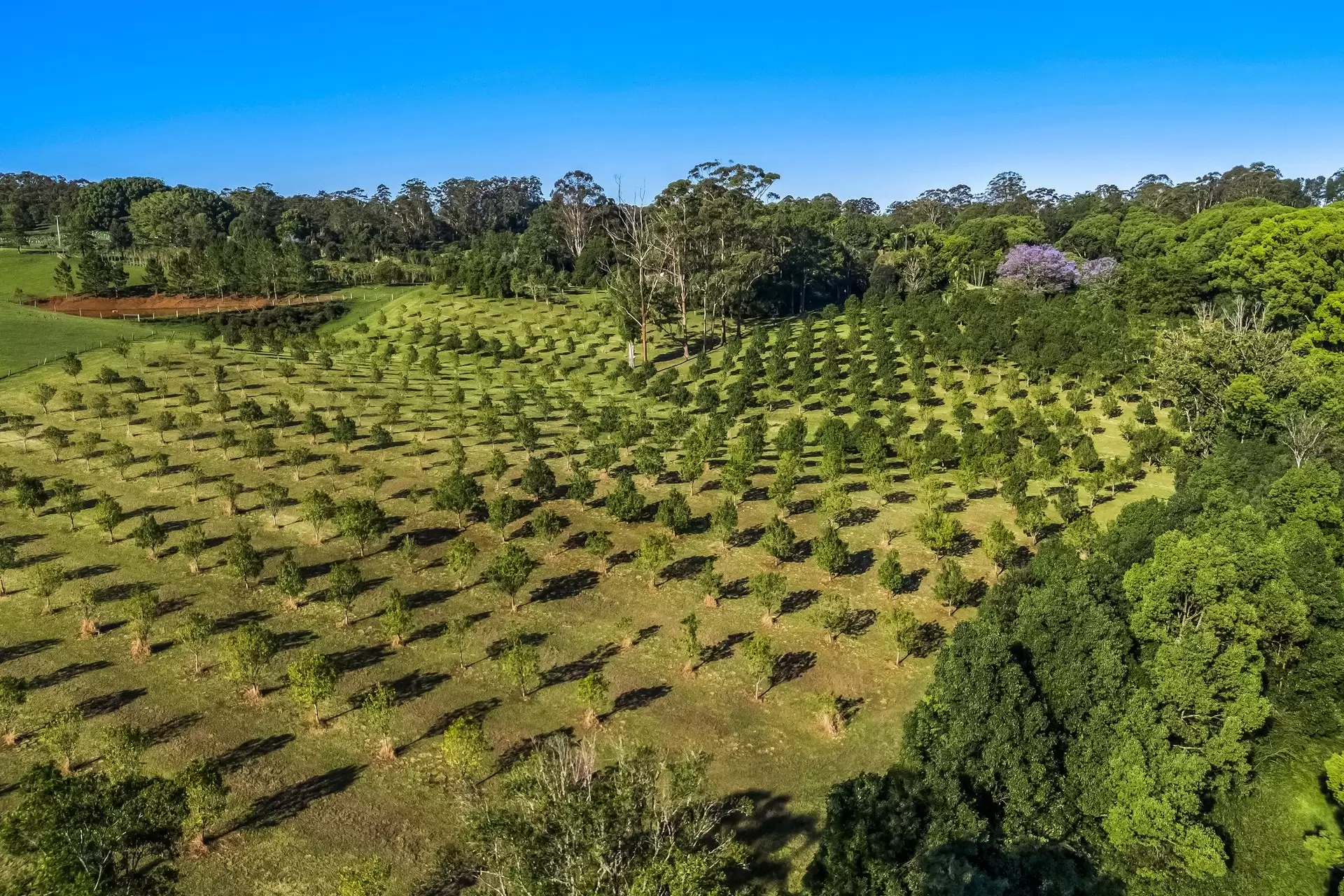 399 Fernleigh Road, Fernleigh Sold by Byron Bay Sotheby's International Realty - image 1