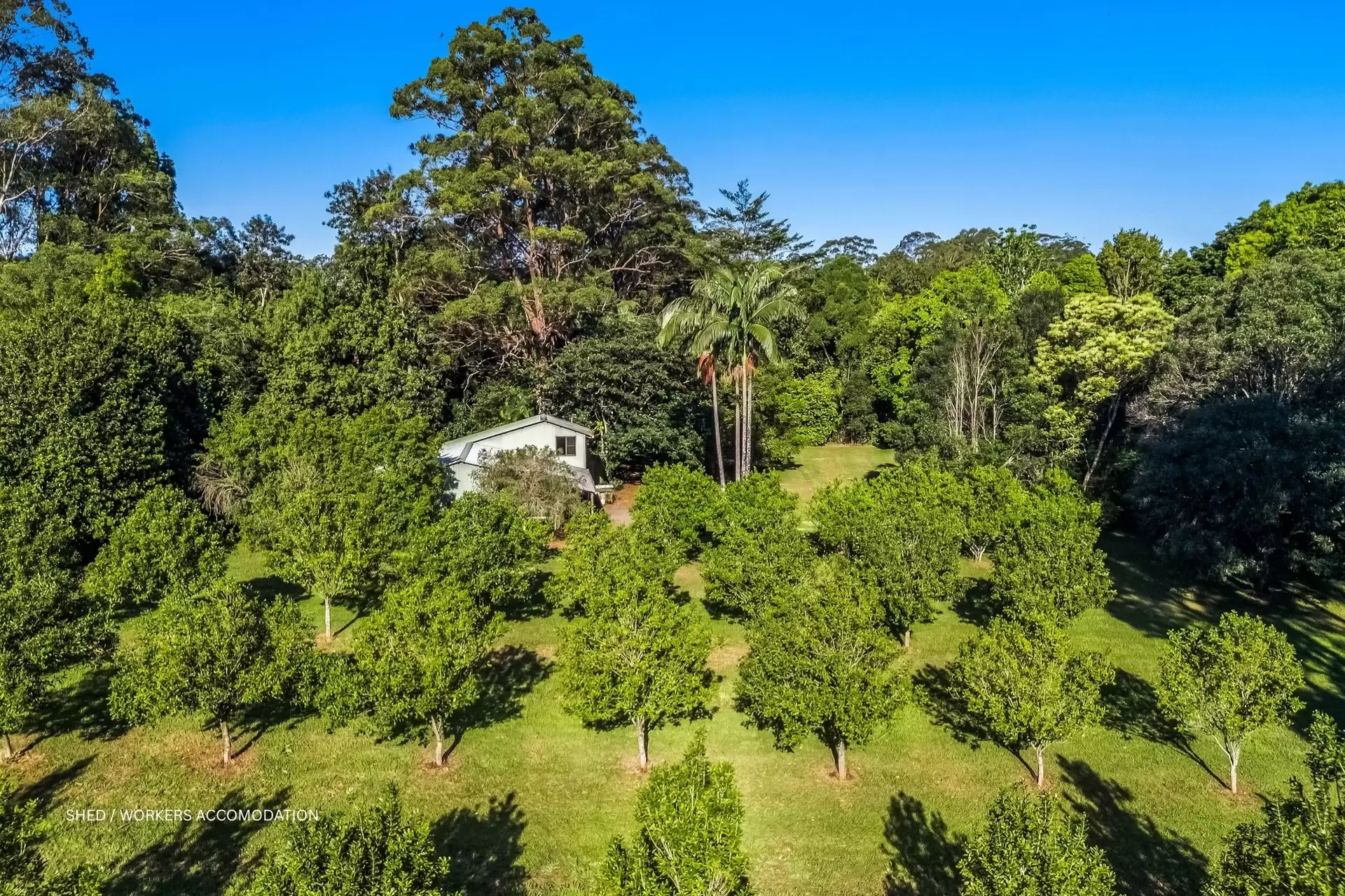 399 Fernleigh Road, Fernleigh Sold by Byron Bay Sotheby's International Realty - image 1