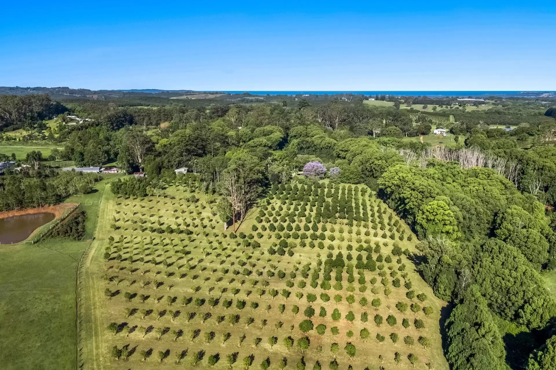 399 Fernleigh Road, Fernleigh Sold by Byron Bay Sotheby's International Realty - image 1