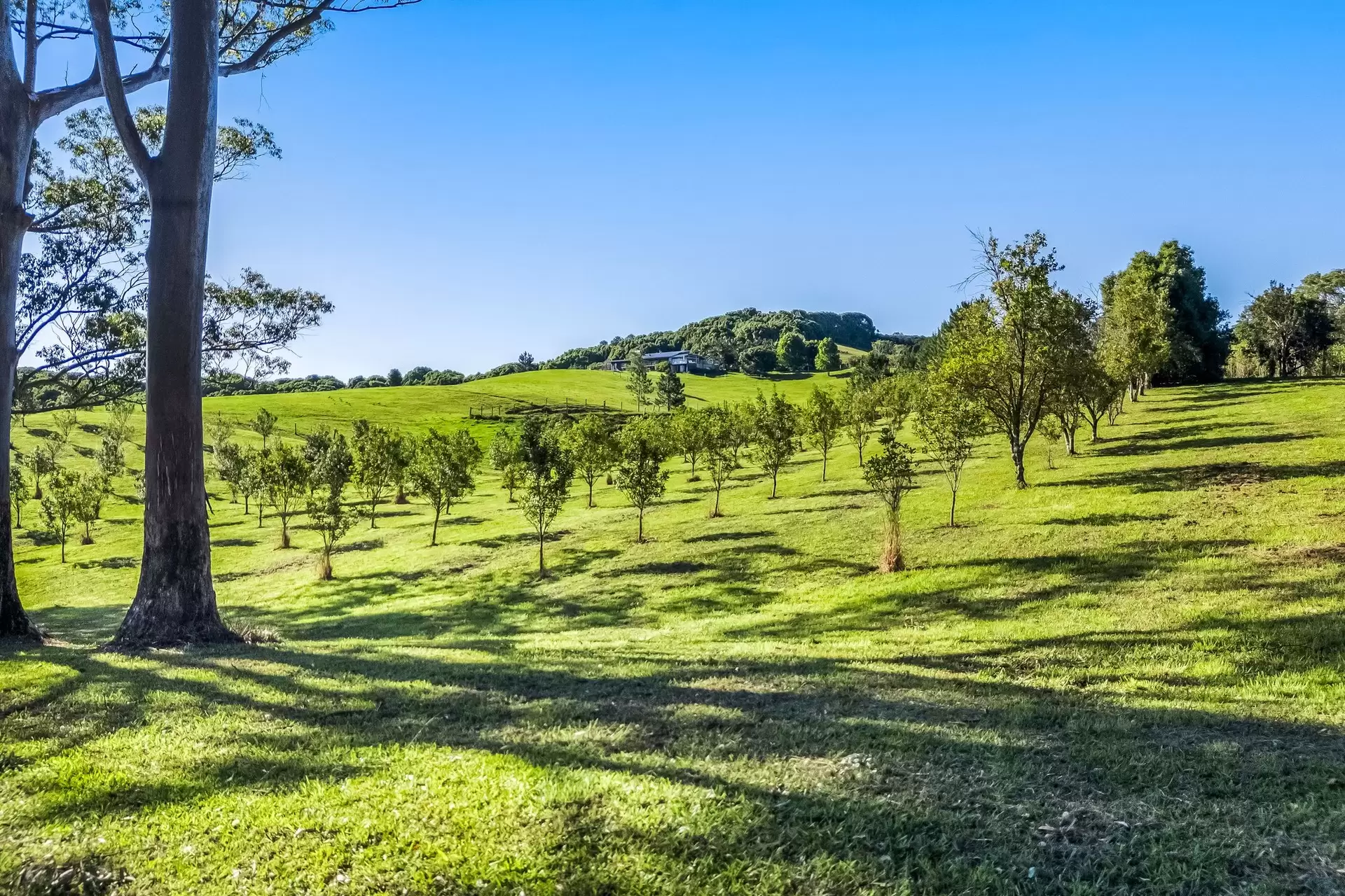 399 Fernleigh Road, Fernleigh Sold by Byron Bay Sotheby's International Realty - image 1
