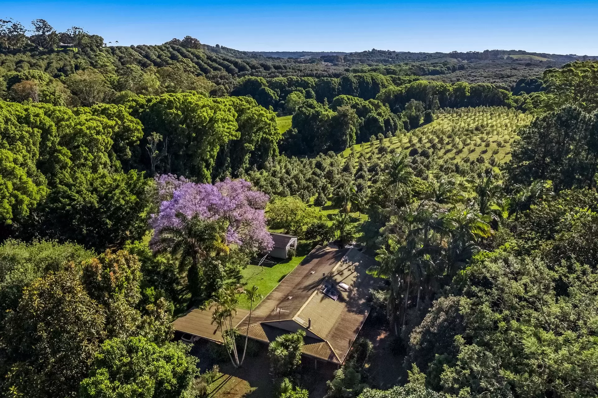 399 Fernleigh Road, Fernleigh Sold by Byron Bay Sotheby's International Realty - image 1