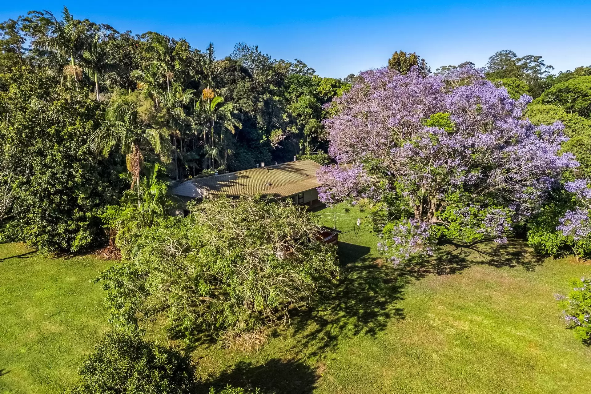 399 Fernleigh Road, Fernleigh Sold by Byron Bay Sotheby's International Realty - image 1