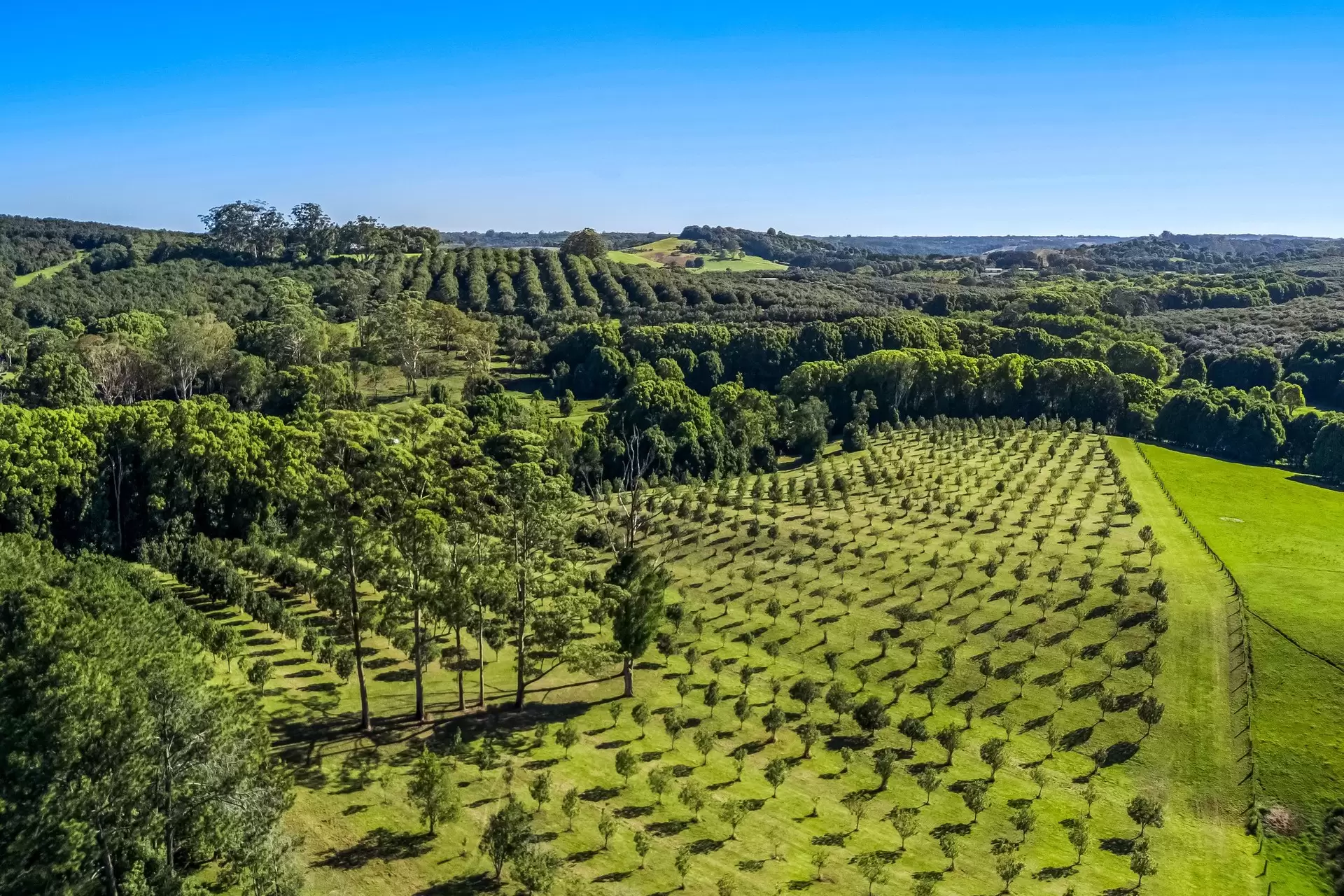 399 Fernleigh Road, Fernleigh Sold by Byron Bay Sotheby's International Realty - image 1
