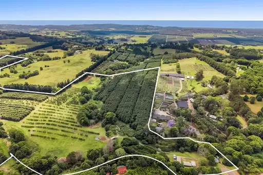 644 Hinterland Way, Newrybar For Sale by Byron Bay Sotheby's International Realty