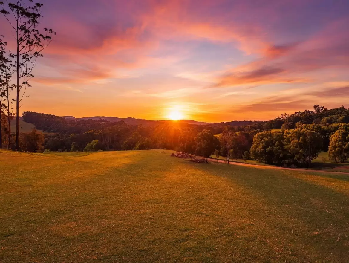 315 Coorabell Road, Coorabell For Sale by Byron Bay Sotheby's International Realty - image 1