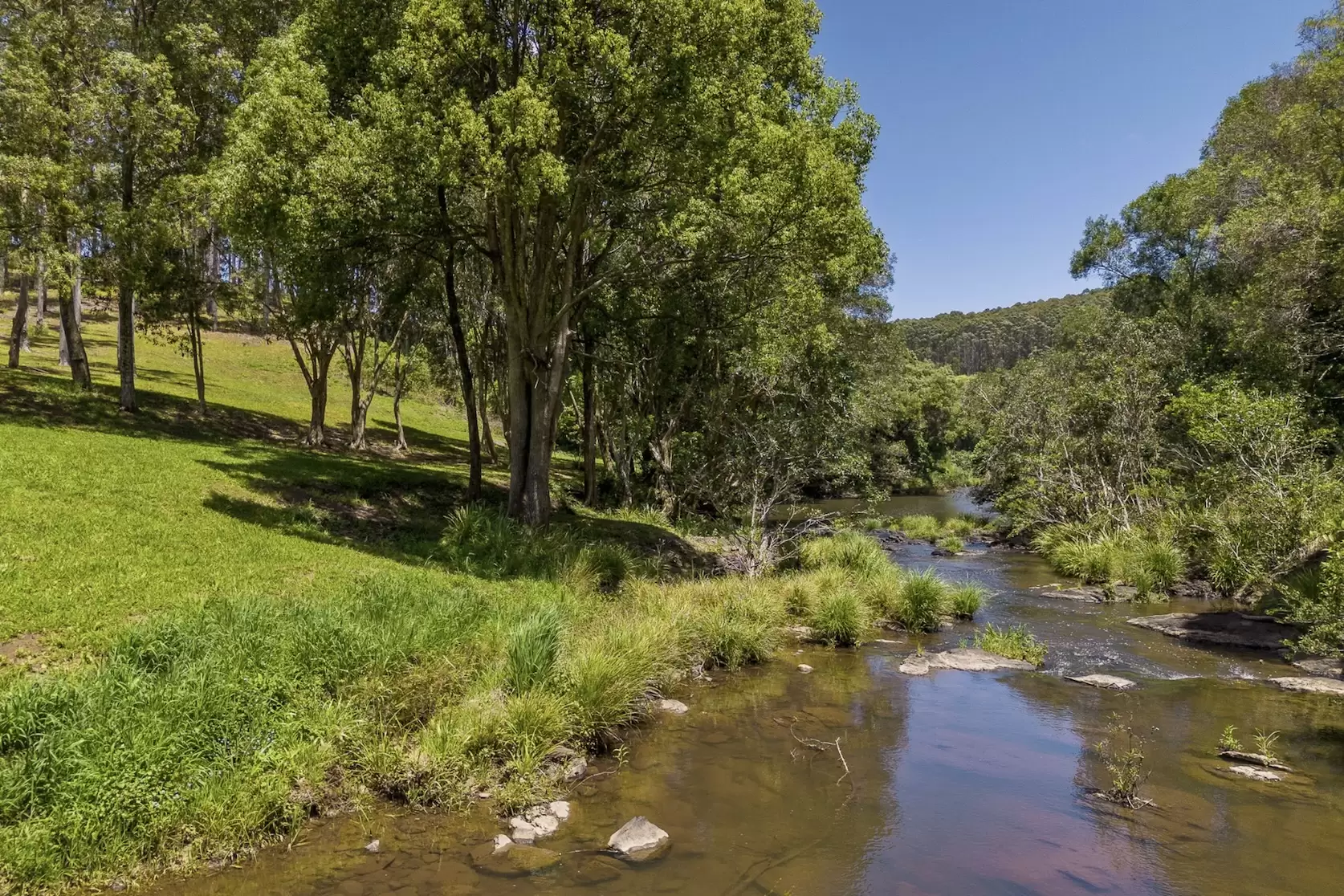 315 Coorabell Road, Coorabell For Sale by Byron Bay Sotheby's International Realty - image 1