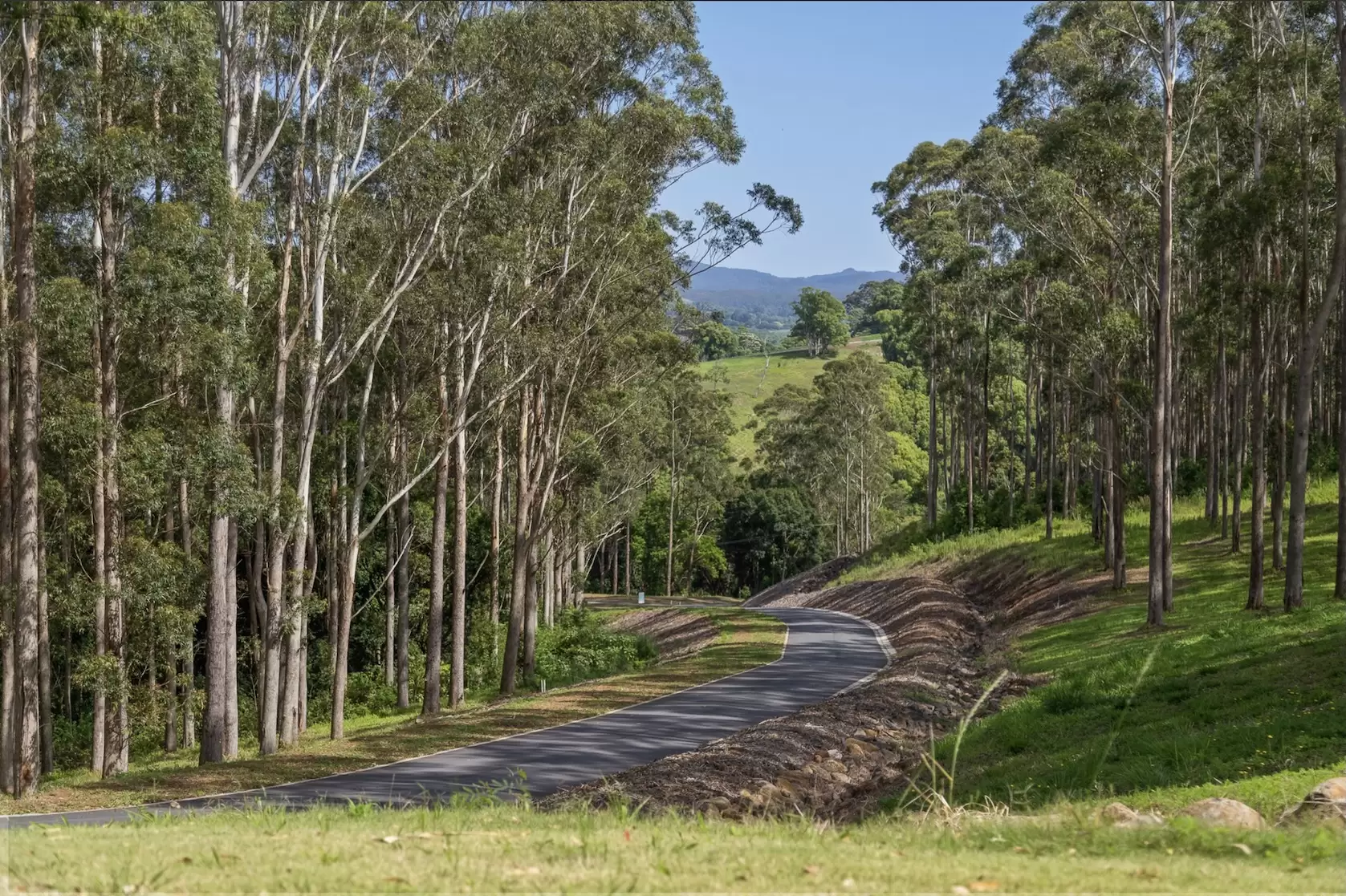 315 Coorabell Road, Coorabell For Sale by Byron Bay Sotheby's International Realty - image 1