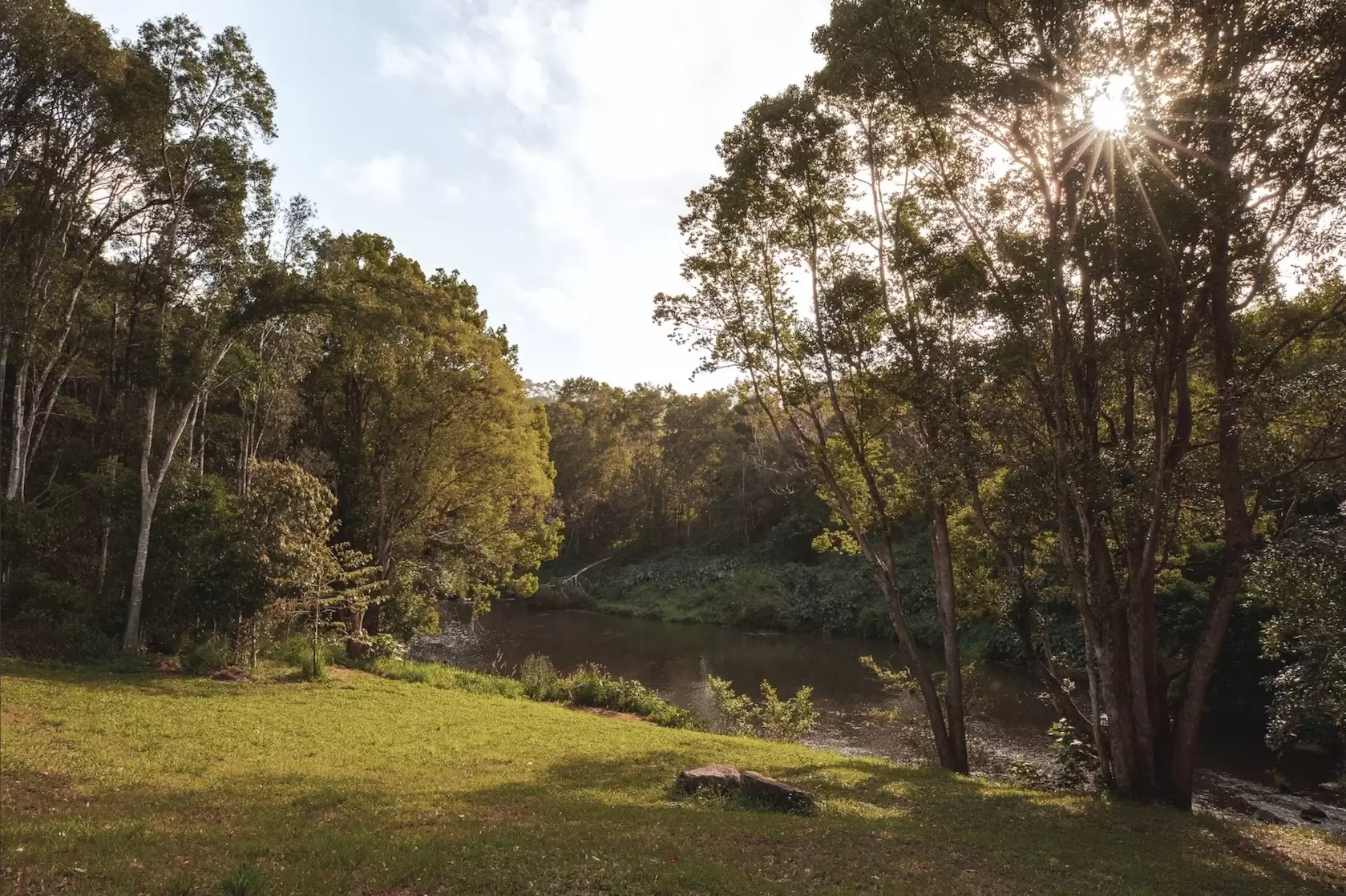 315 Coorabell Road, Coorabell For Sale by Byron Bay Sotheby's International Realty - image 1