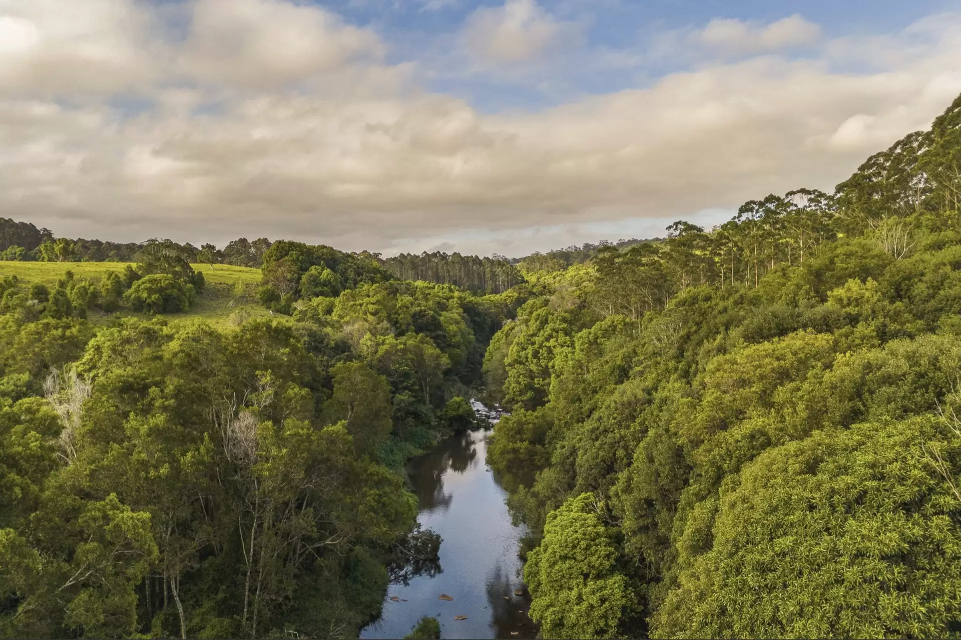 315 Coorabell Road, Coorabell For Sale by Byron Bay Sotheby's International Realty - image 1