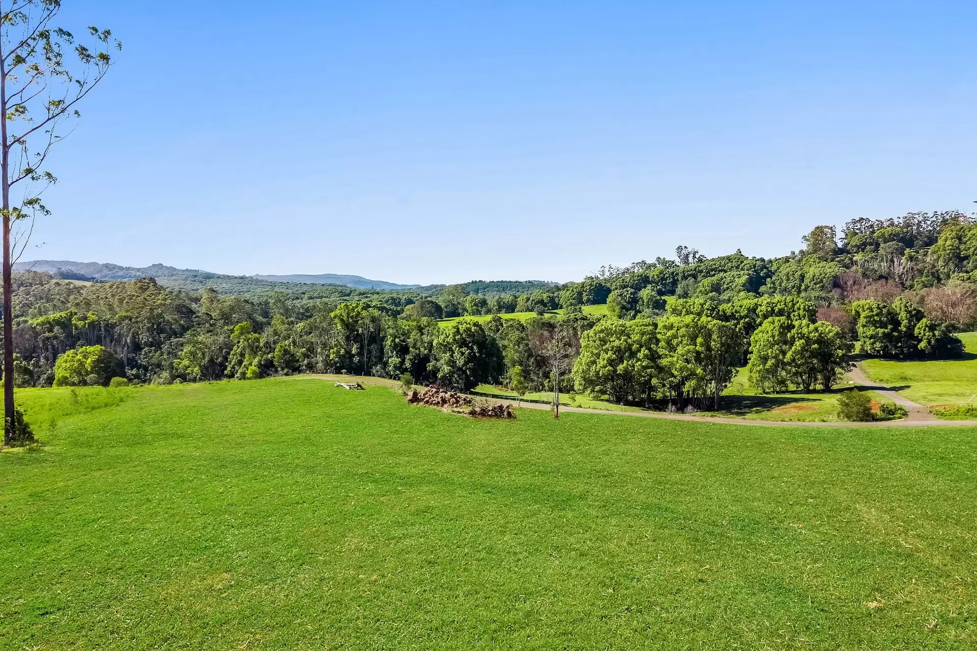 315 Coorabell Road, Coorabell For Sale by Byron Bay Sotheby's International Realty - image 1