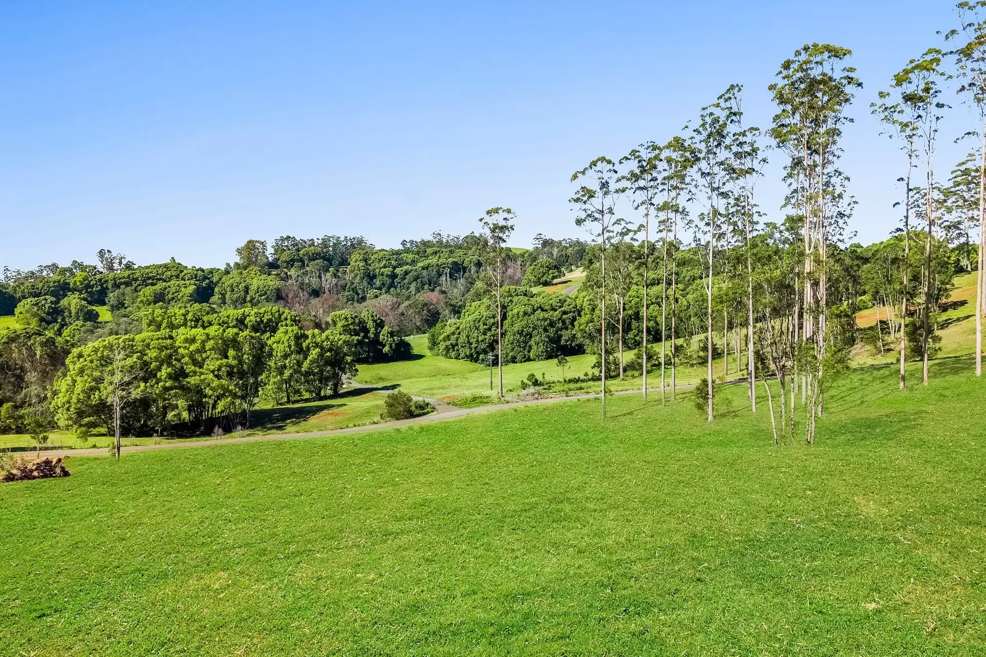 315 Coorabell Road, Coorabell For Sale by Byron Bay Sotheby's International Realty - image 1