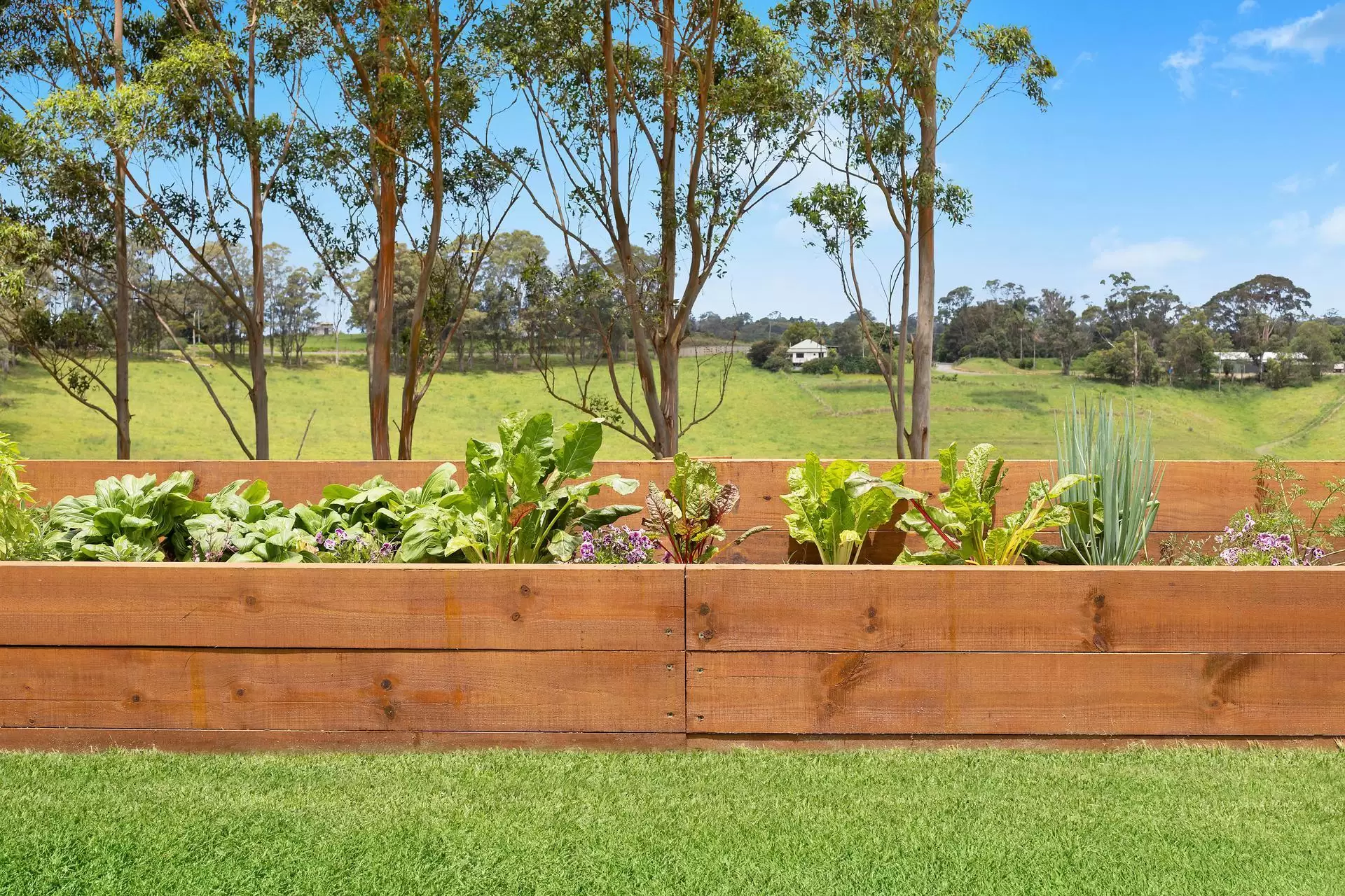55 Brooklet Road, Newrybar Sold by Byron Bay Sotheby's International Realty - image 1