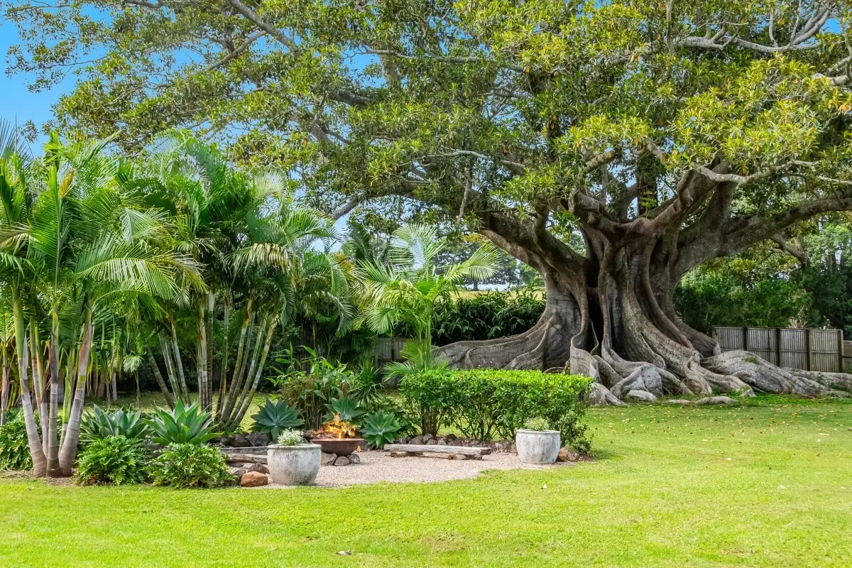 4 Old Byron Bay Road, Newrybar Sold by Byron Bay Sotheby's International Realty - image 1
