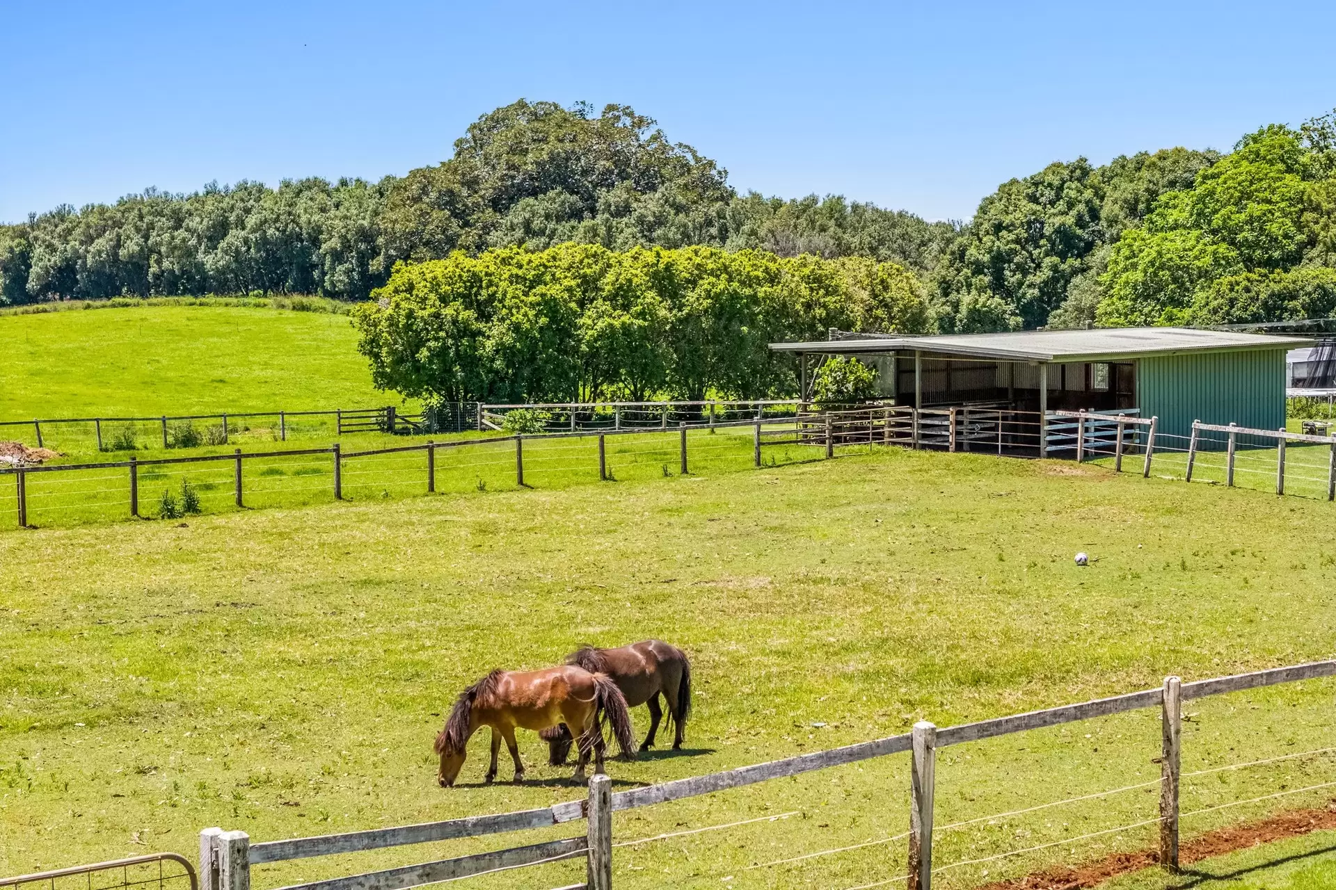 836 Fernleigh Road, Brooklet Sold by Byron Bay Sotheby's International Realty - image 1