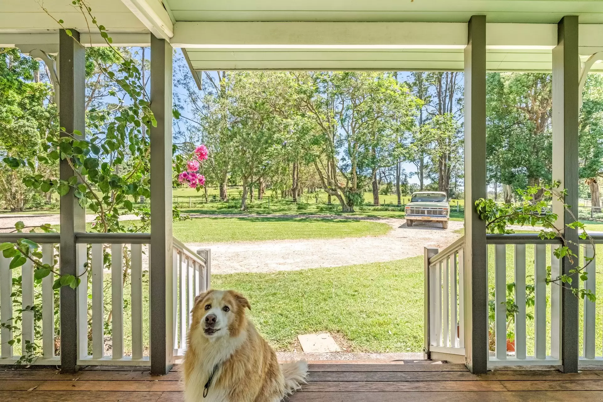 836 Fernleigh Road, Brooklet Sold by Byron Bay Sotheby's International Realty - image 1