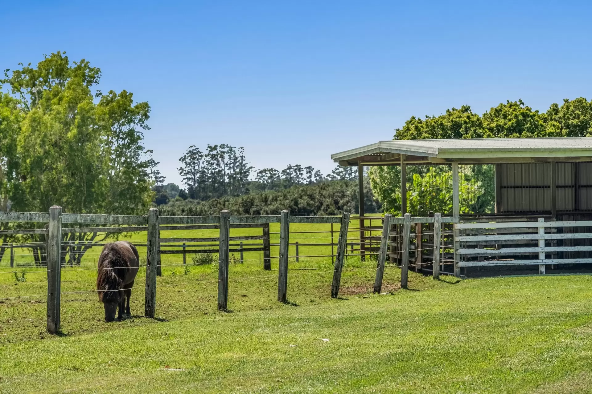 836 Fernleigh Road, Brooklet Sold by Byron Bay Sotheby's International Realty - image 1