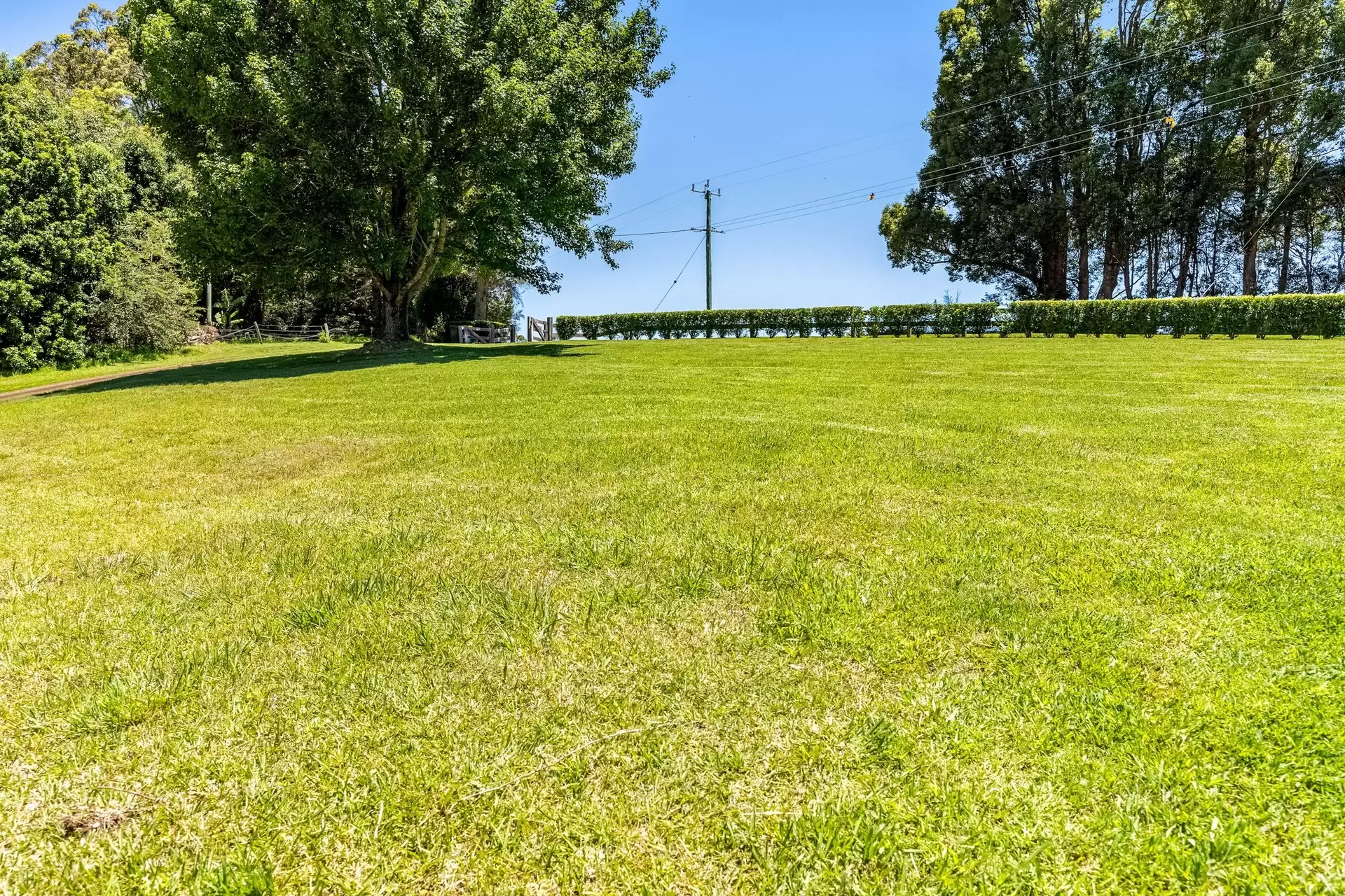 866 Friday Hut Road, Brooklet For Sale by Byron Bay Sotheby's International Realty - image 1