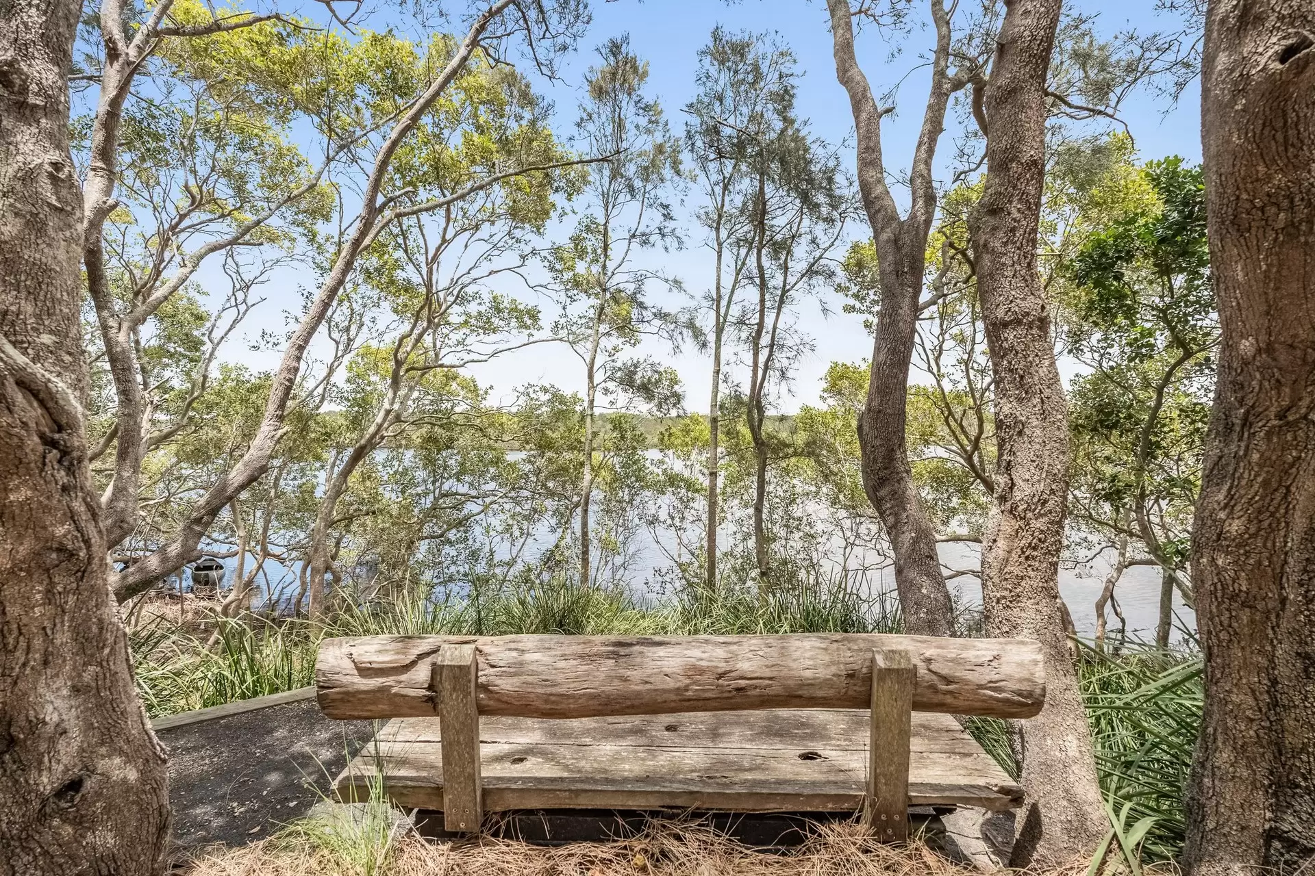 6B Childe Street, Byron Bay Sold by Byron Bay Sotheby's International Realty - image 1