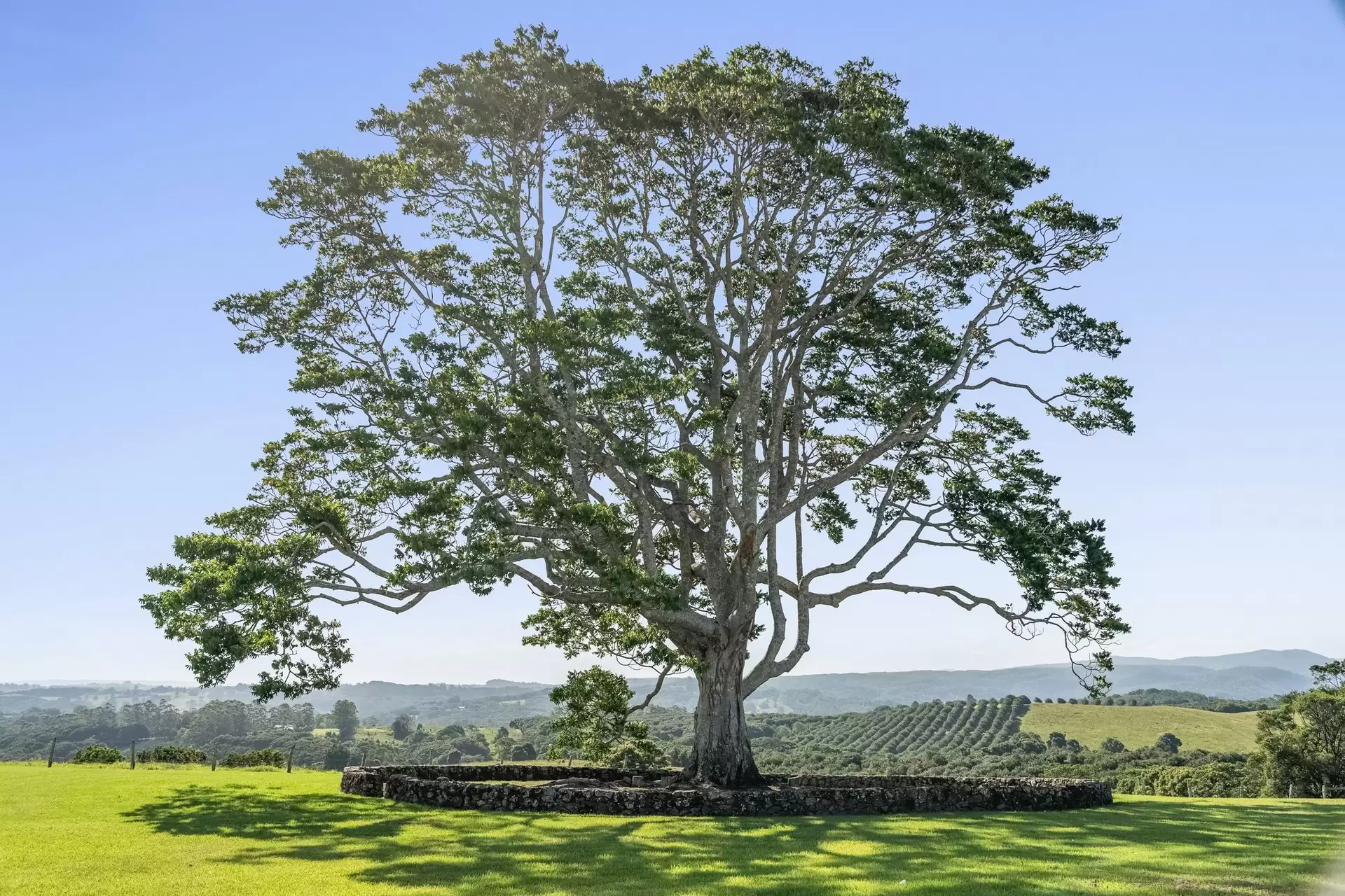 28 Blackbean Lane, Federal For Sale by Byron Bay Sotheby's International Realty - image 1
