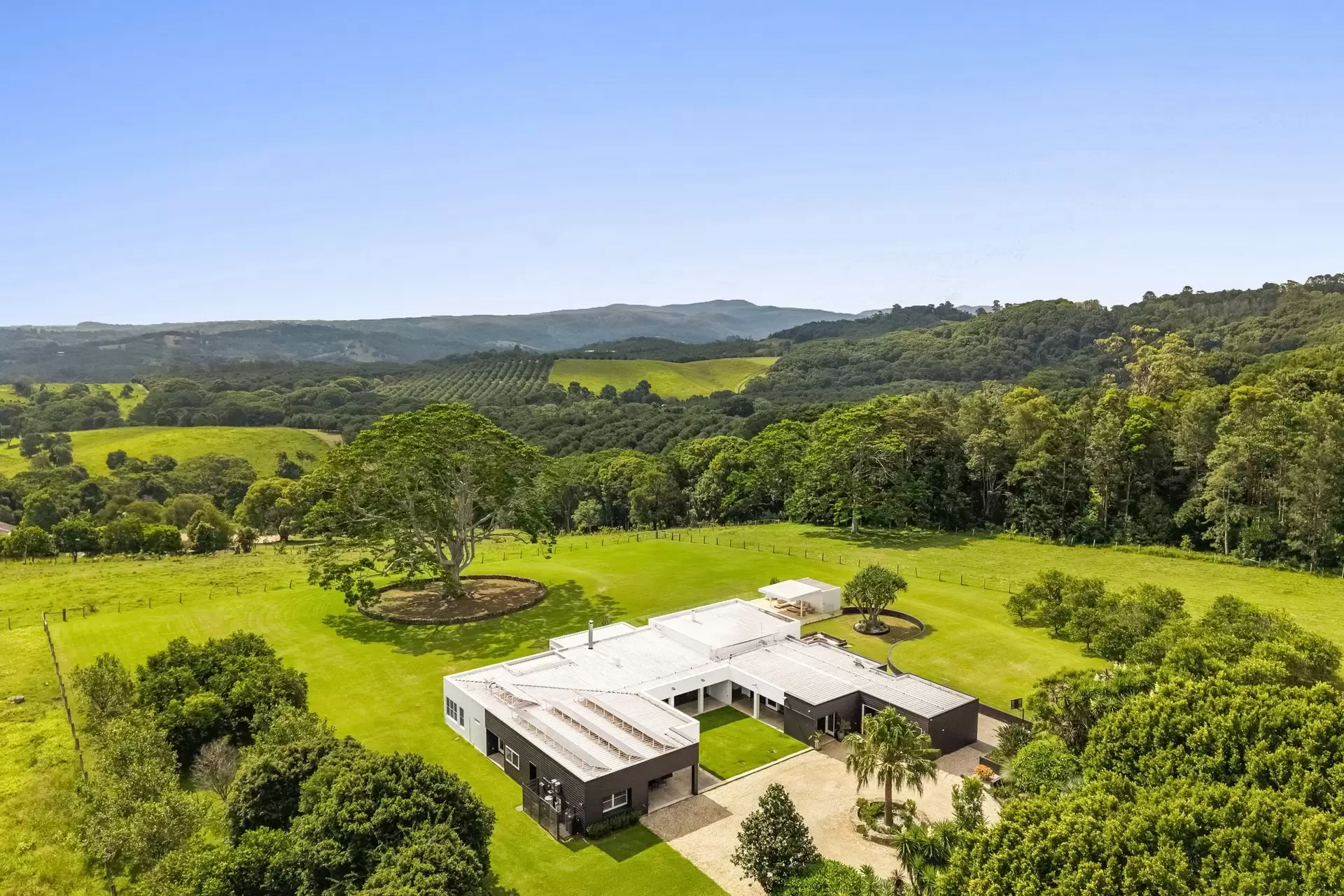 28 Blackbean Lane, Federal For Sale by Byron Bay Sotheby's International Realty - image 1