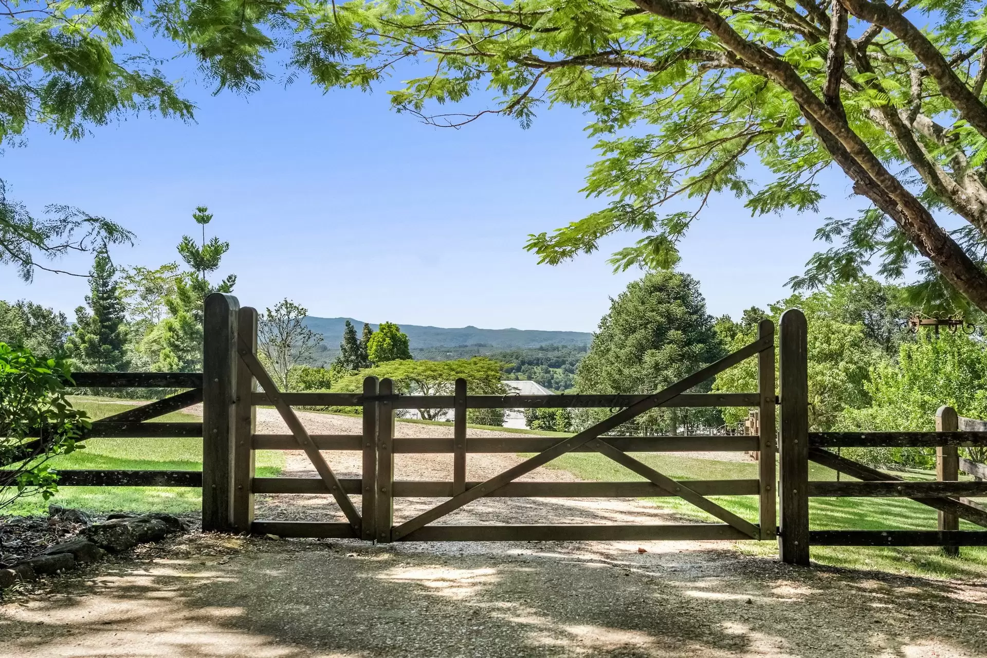 334 James Gibson Road, Clunes For Sale by Byron Bay Sotheby's International Realty - image 1