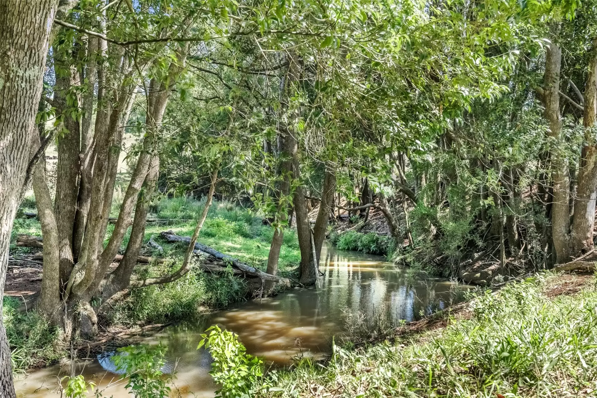 334 James Gibson Road, Clunes For Sale by Byron Bay Sotheby's International Realty - image 1