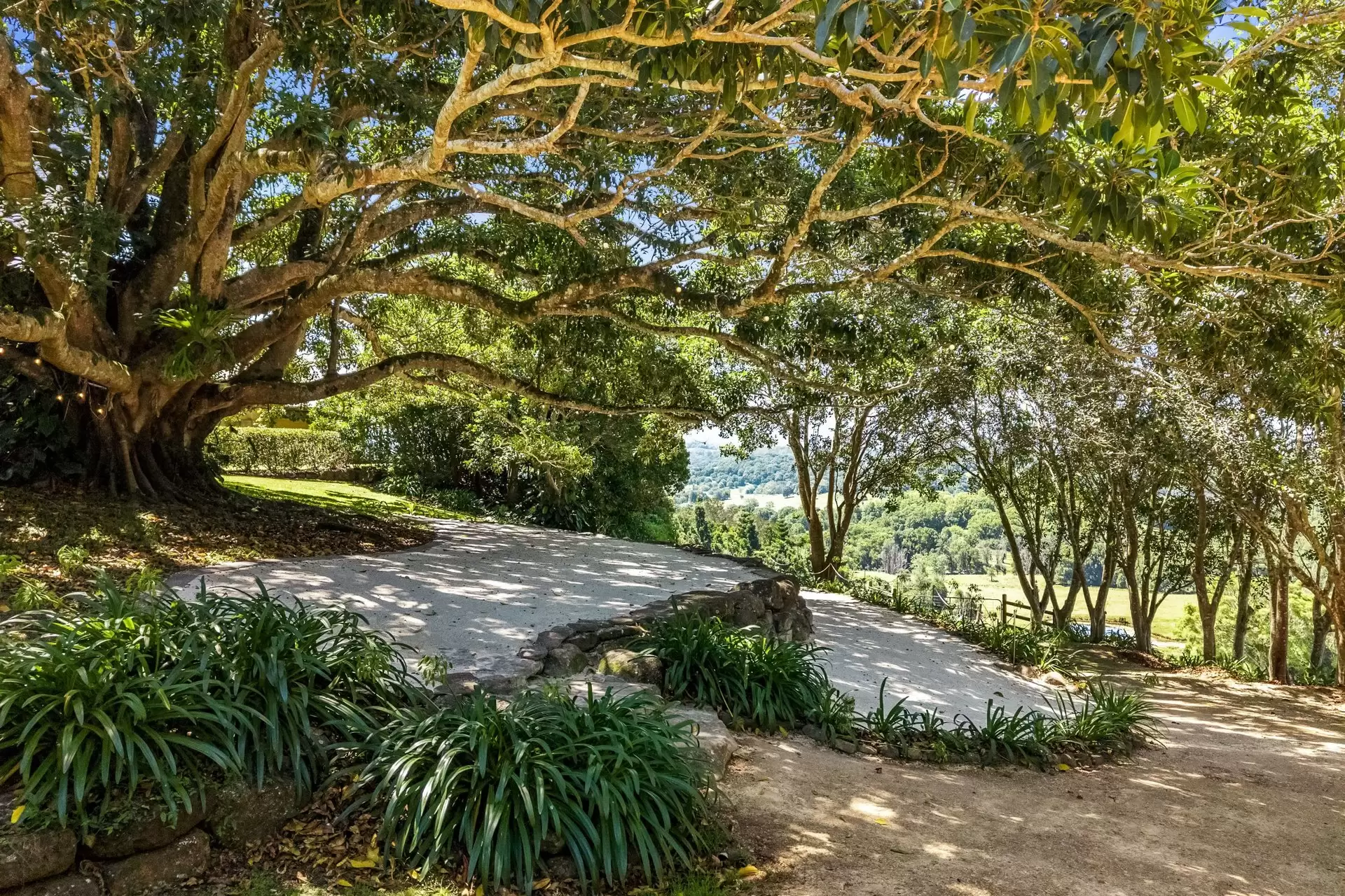 334 James Gibson Road, Clunes For Sale by Byron Bay Sotheby's International Realty - image 1