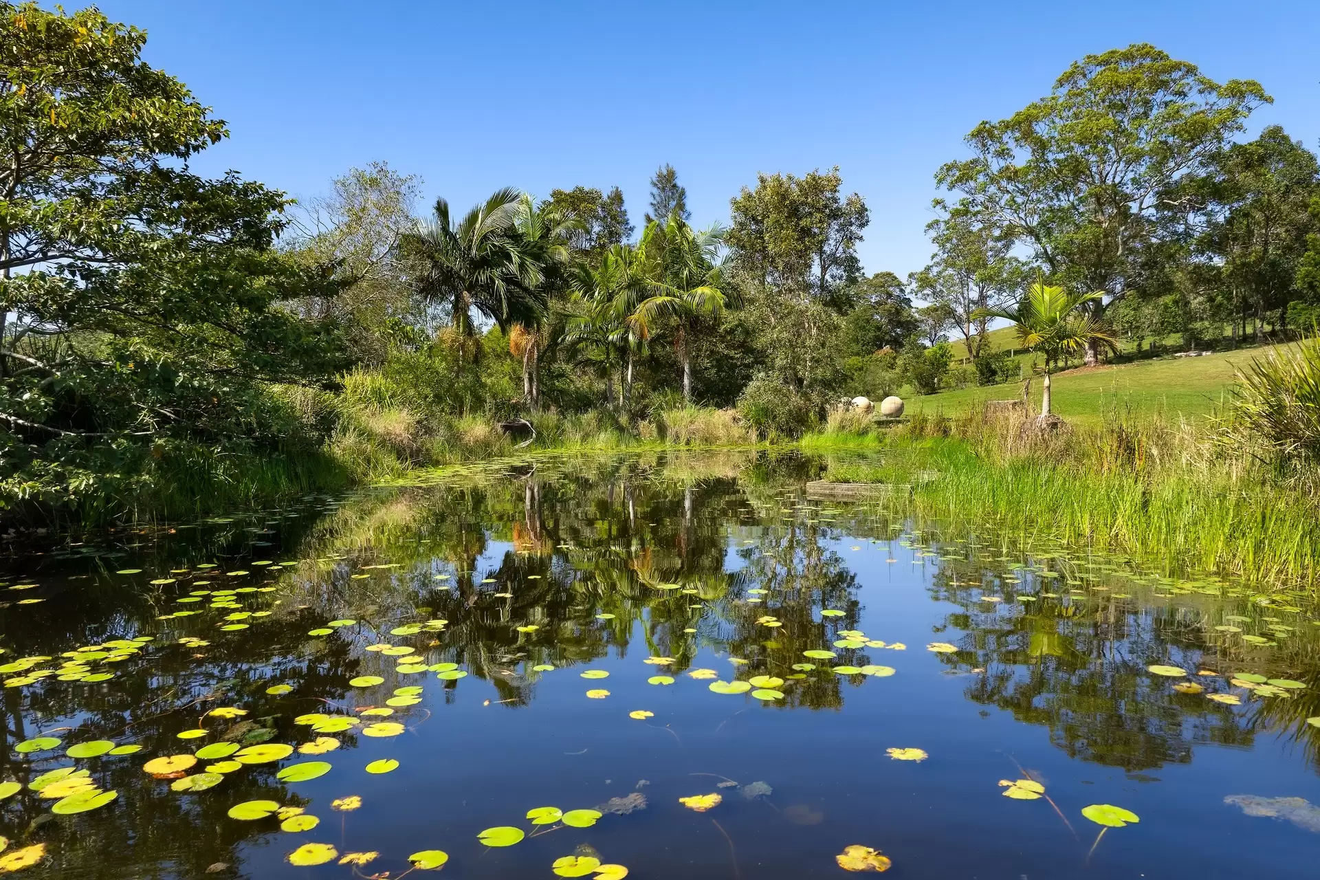 65 Armstrong Lane, Broken Head For Sale by Byron Bay Sotheby's International Realty - image 1